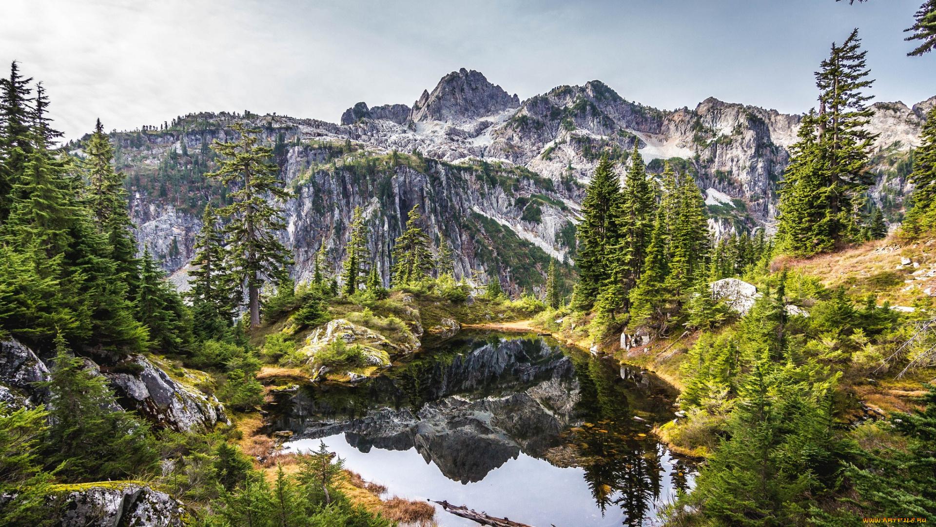 природа, реки, озера, озеро, лес, горы