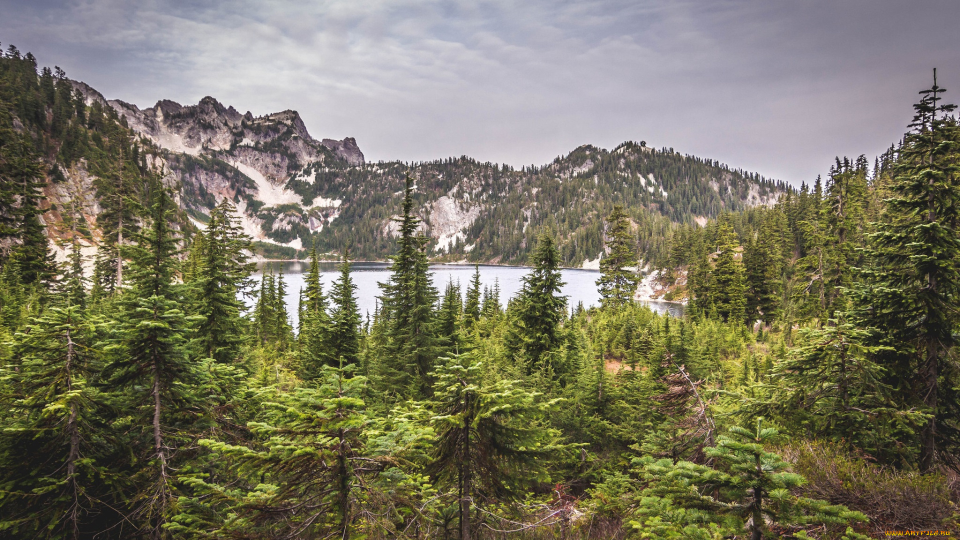 природа, реки, озера, озеро, лес, горы