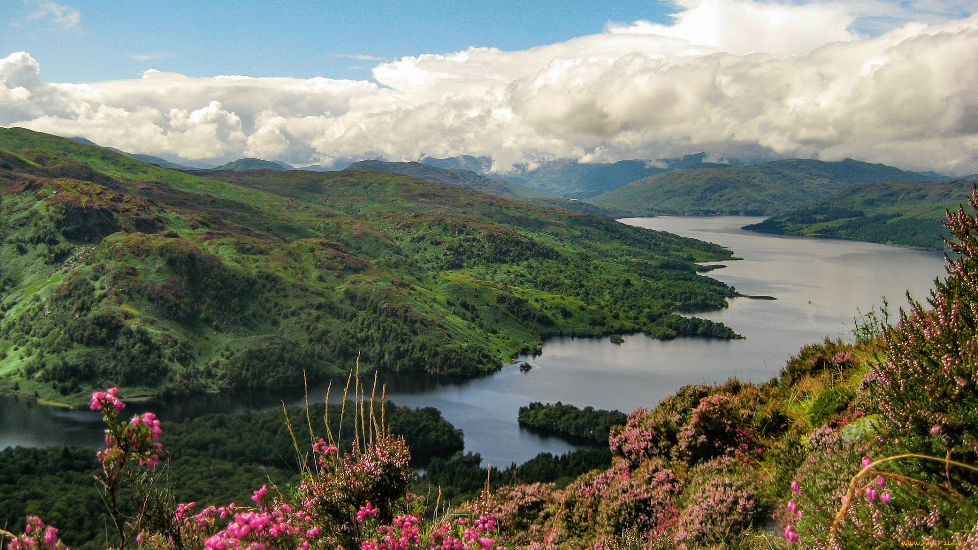 природа, реки, озера, река, лес, горы