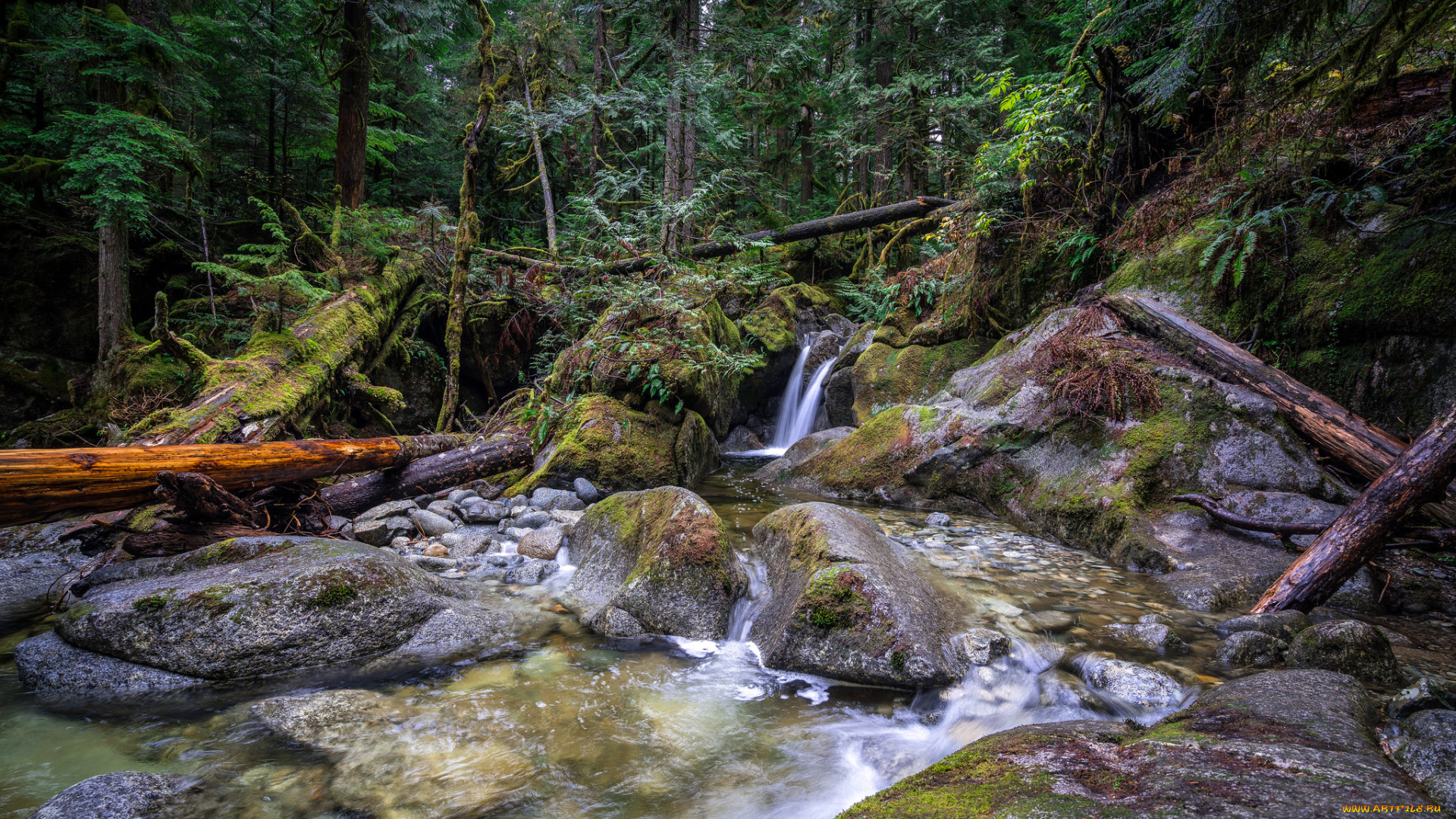 природа, водопады, река, лес, водопад