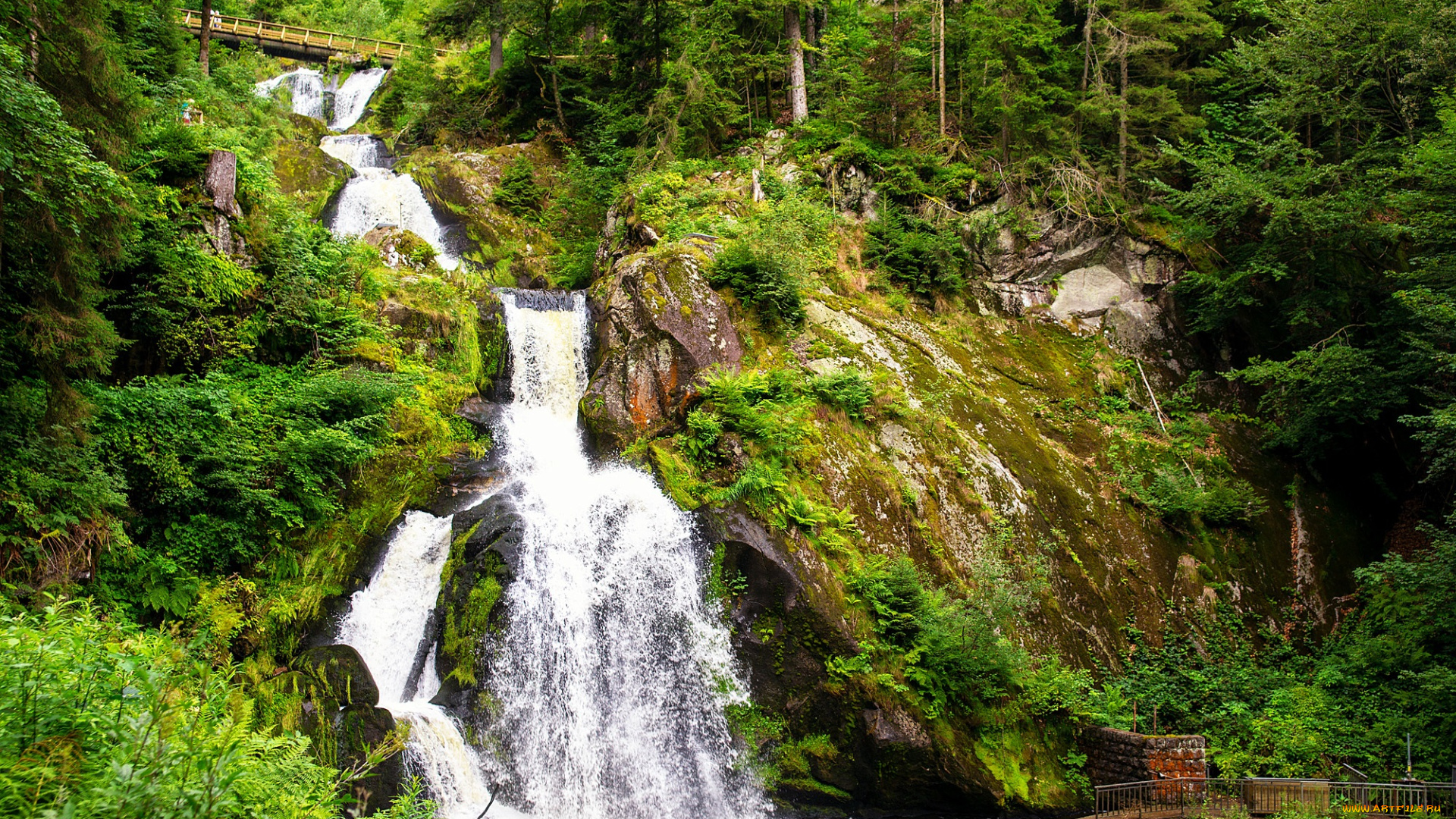 природа, водопады, водопад, река, лес