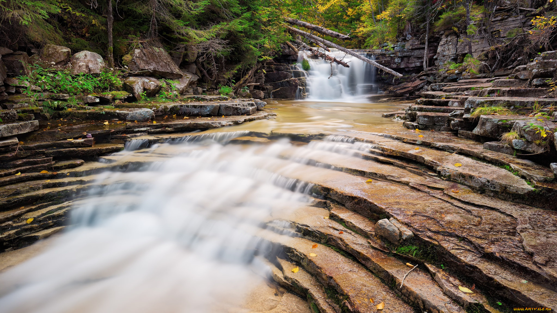 природа, водопады, водопад, река, лес