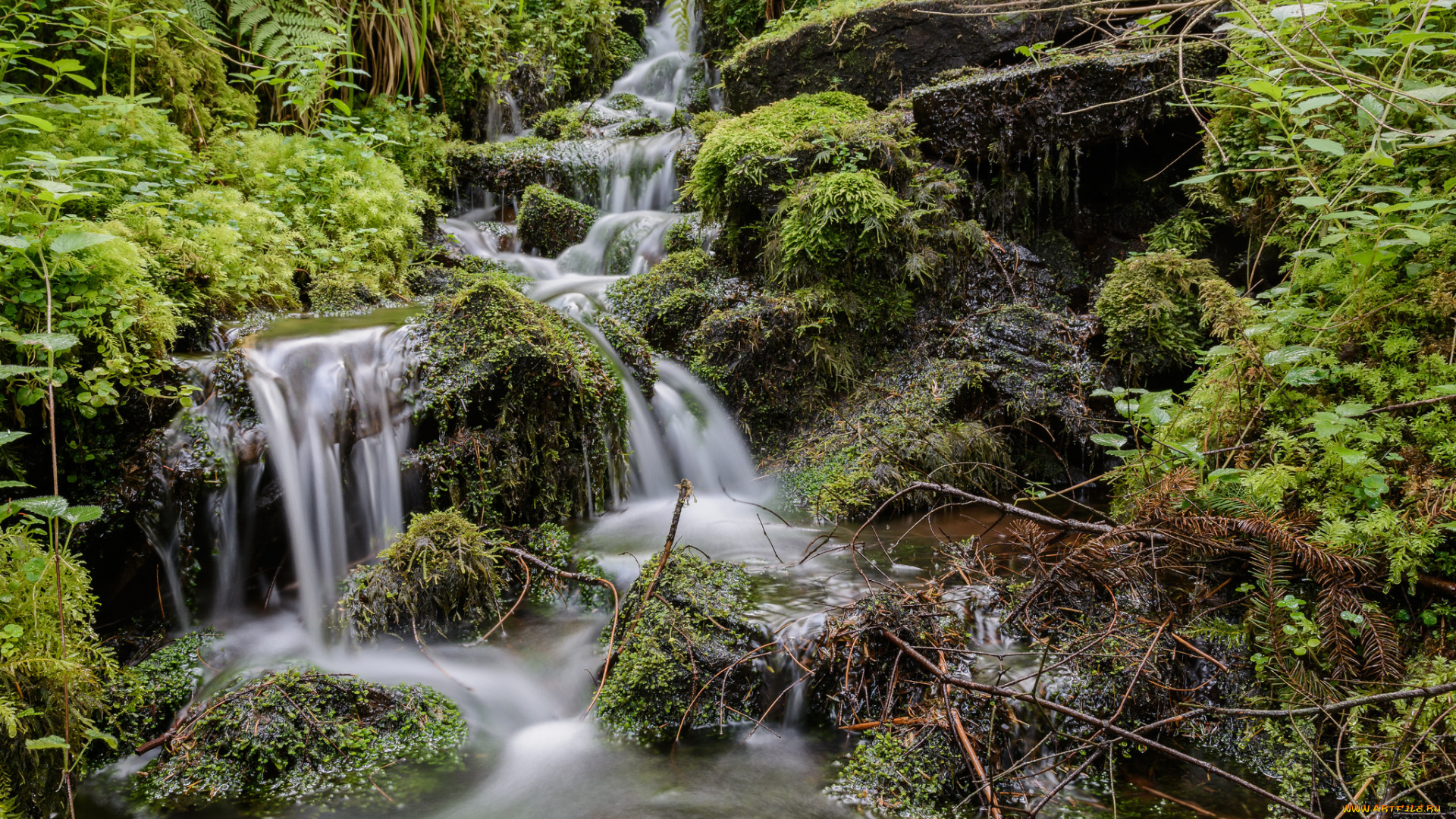 природа, водопады, водопад, река, лес