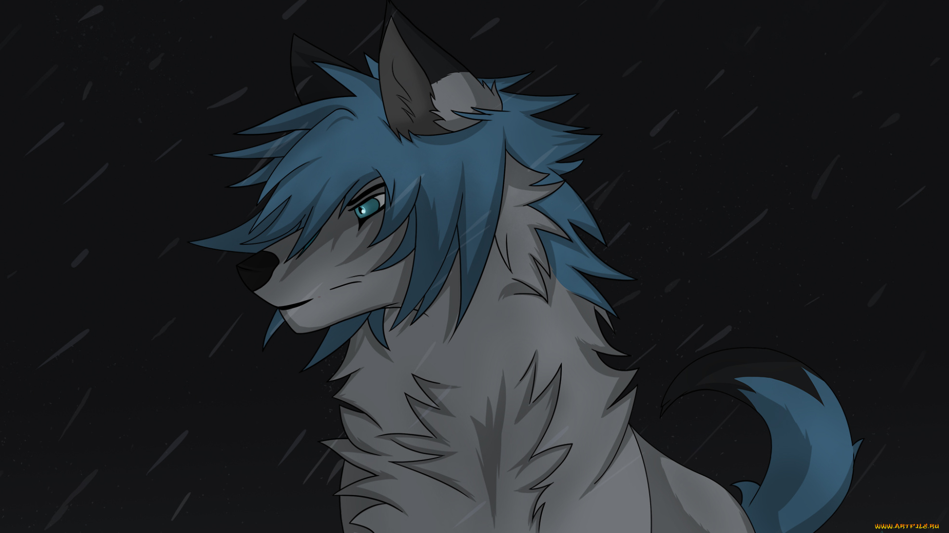 рисованное, животные, , собаки, взгляд, собака