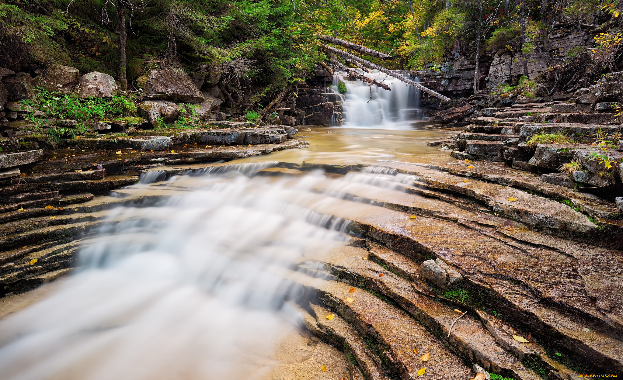 природа, водопады, водопад, река, лес