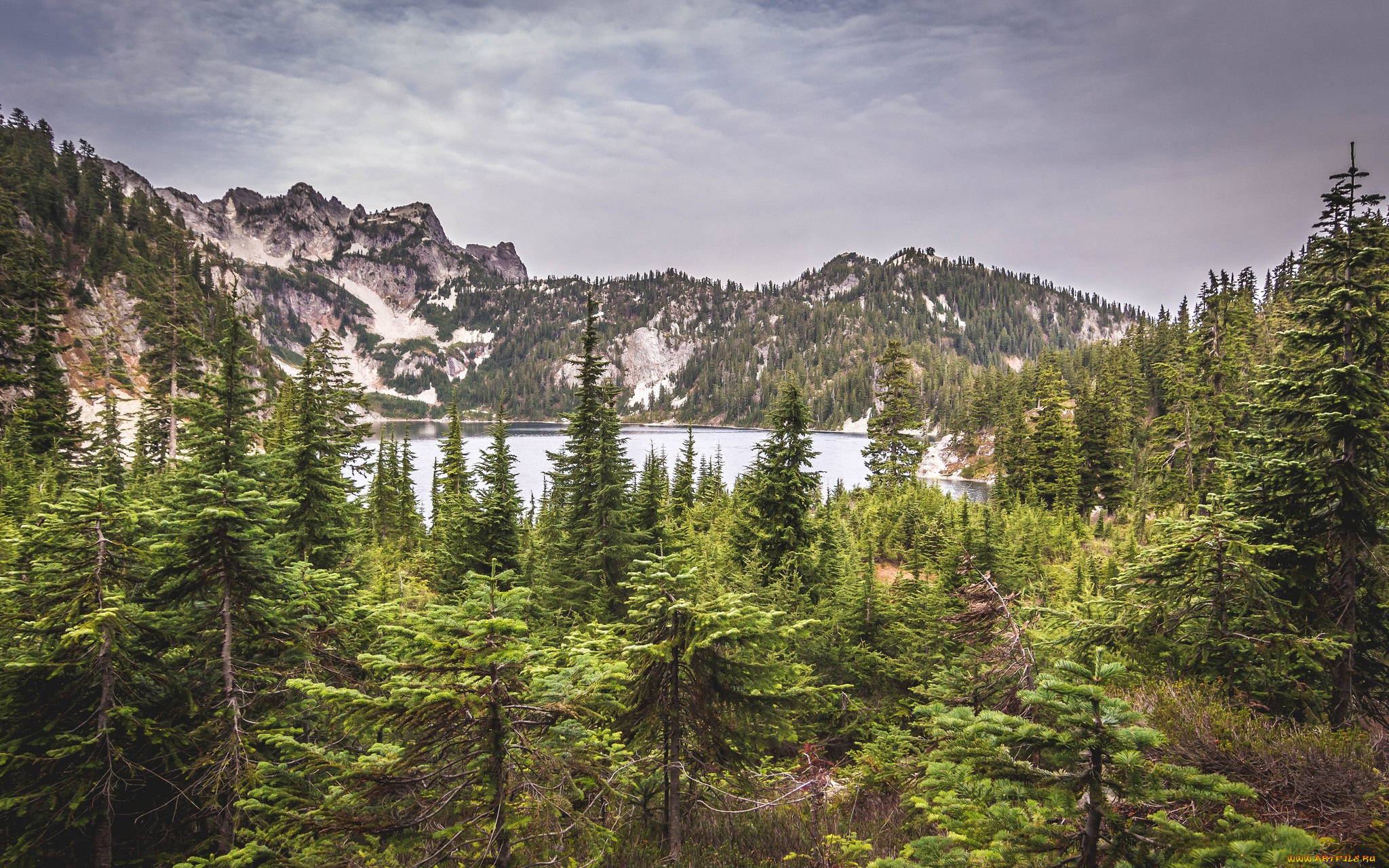 природа, реки, озера, озеро, лес, горы