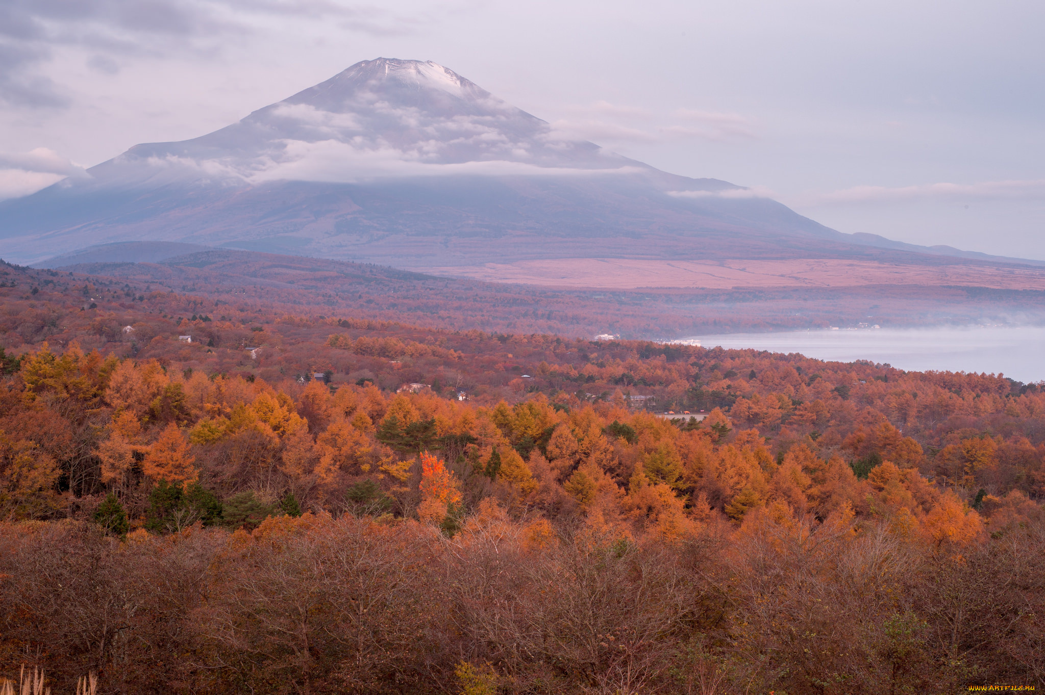природа, горы, осень, гора, лес