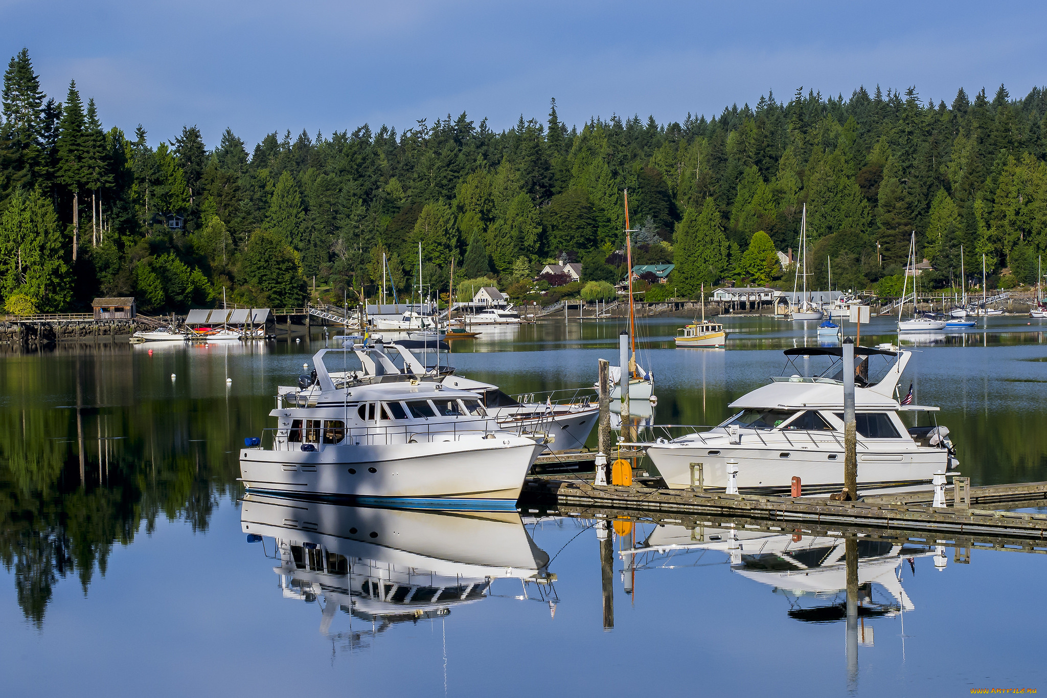 корабли, Яхты, река, яхты
