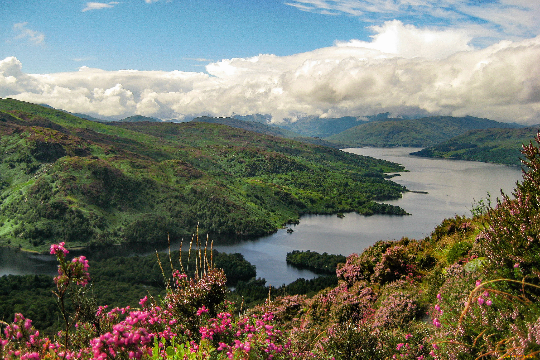 природа, реки, озера, река, лес, горы