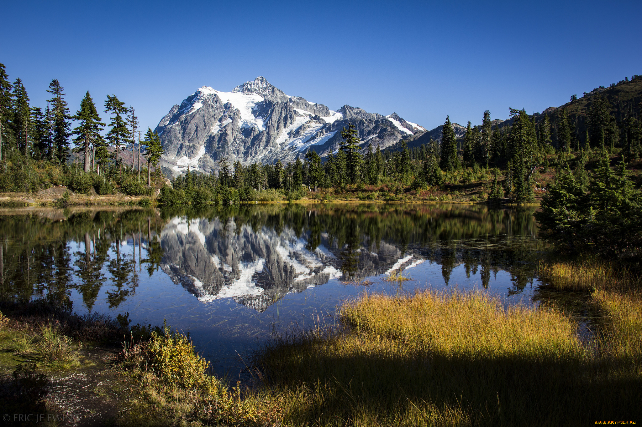 природа, реки, озера, река, лес, горы