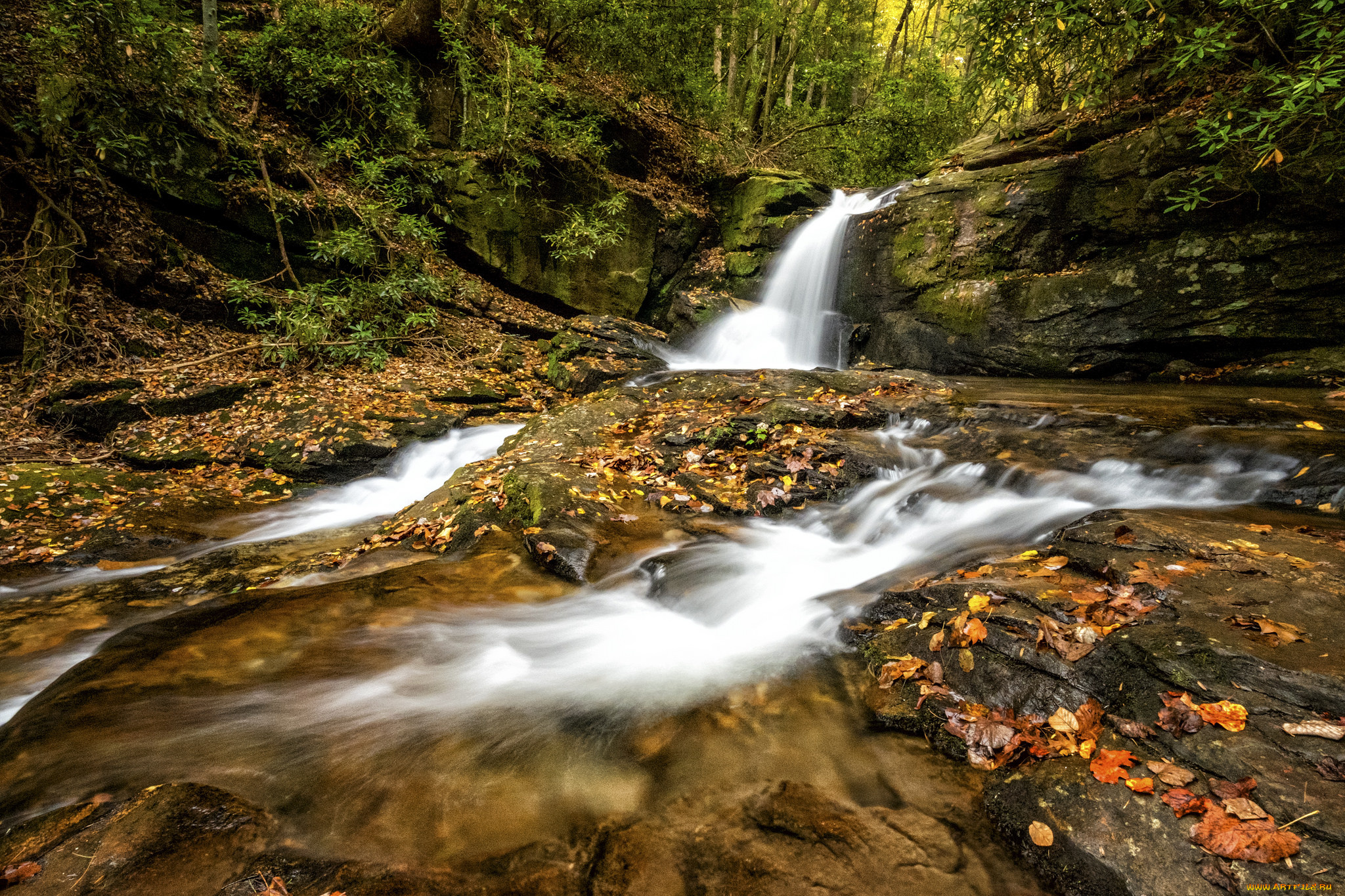 природа, водопады, водопад, река, лес