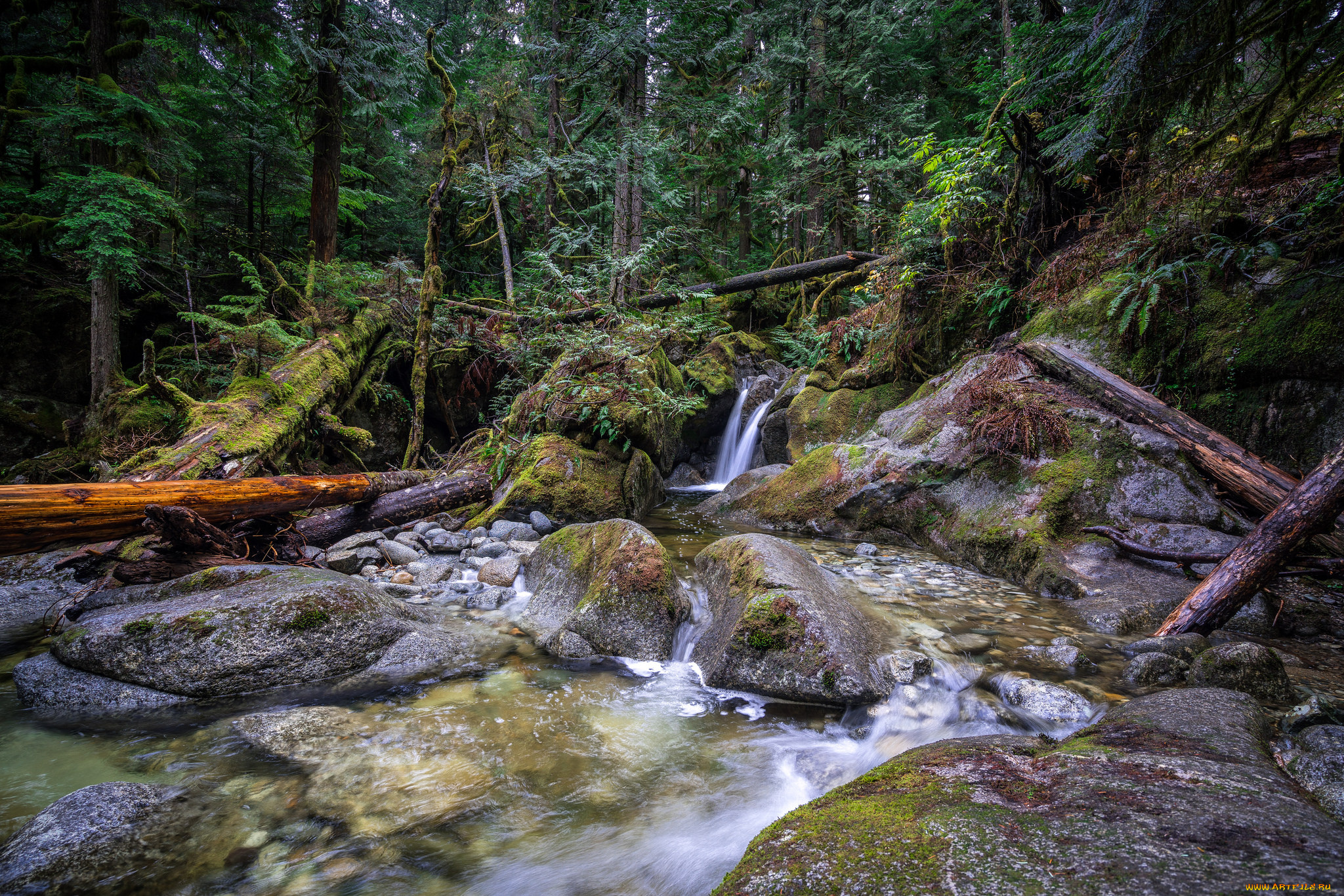 природа, водопады, река, лес, водопад