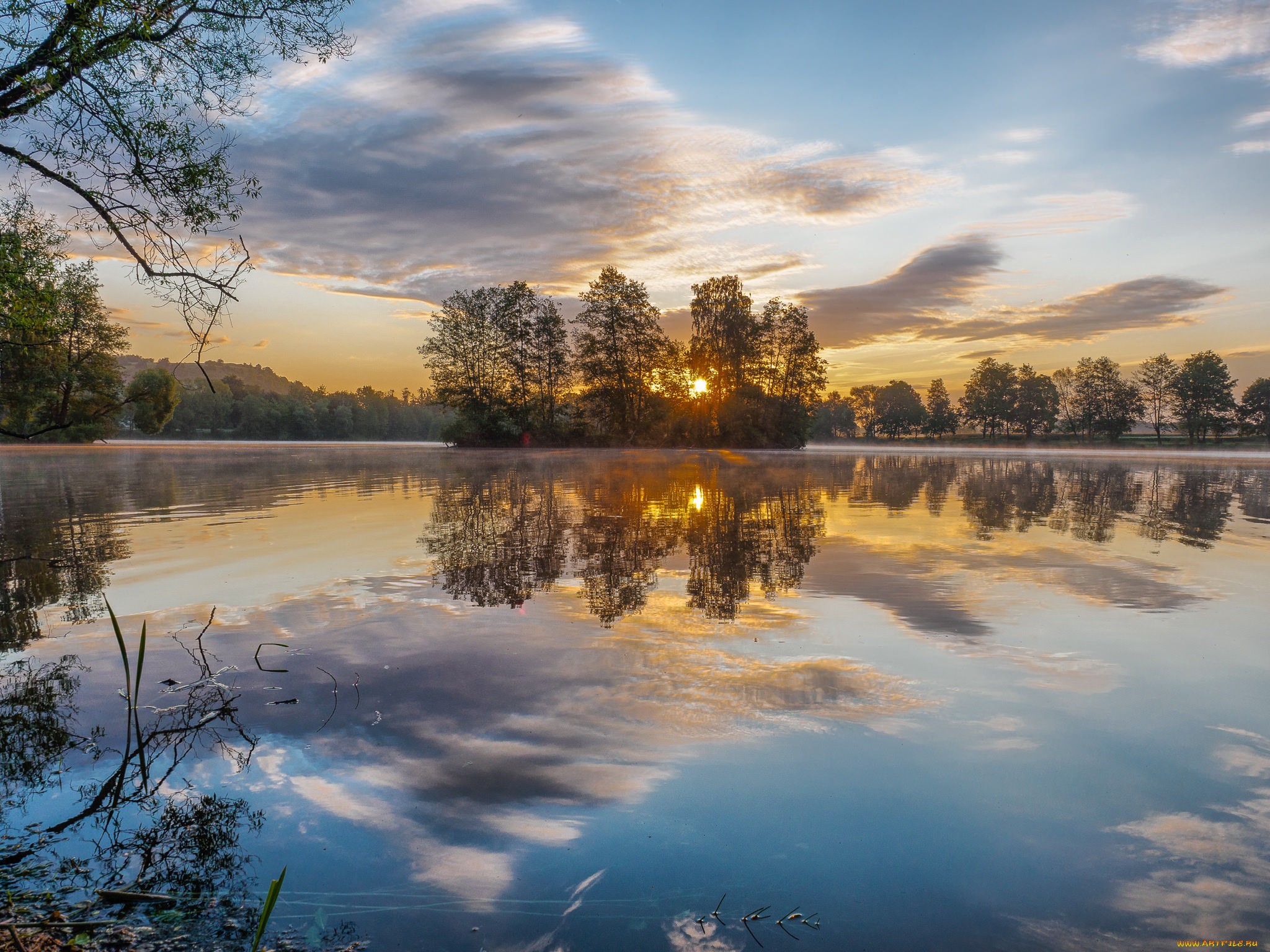 природа, реки, озера, река, лес