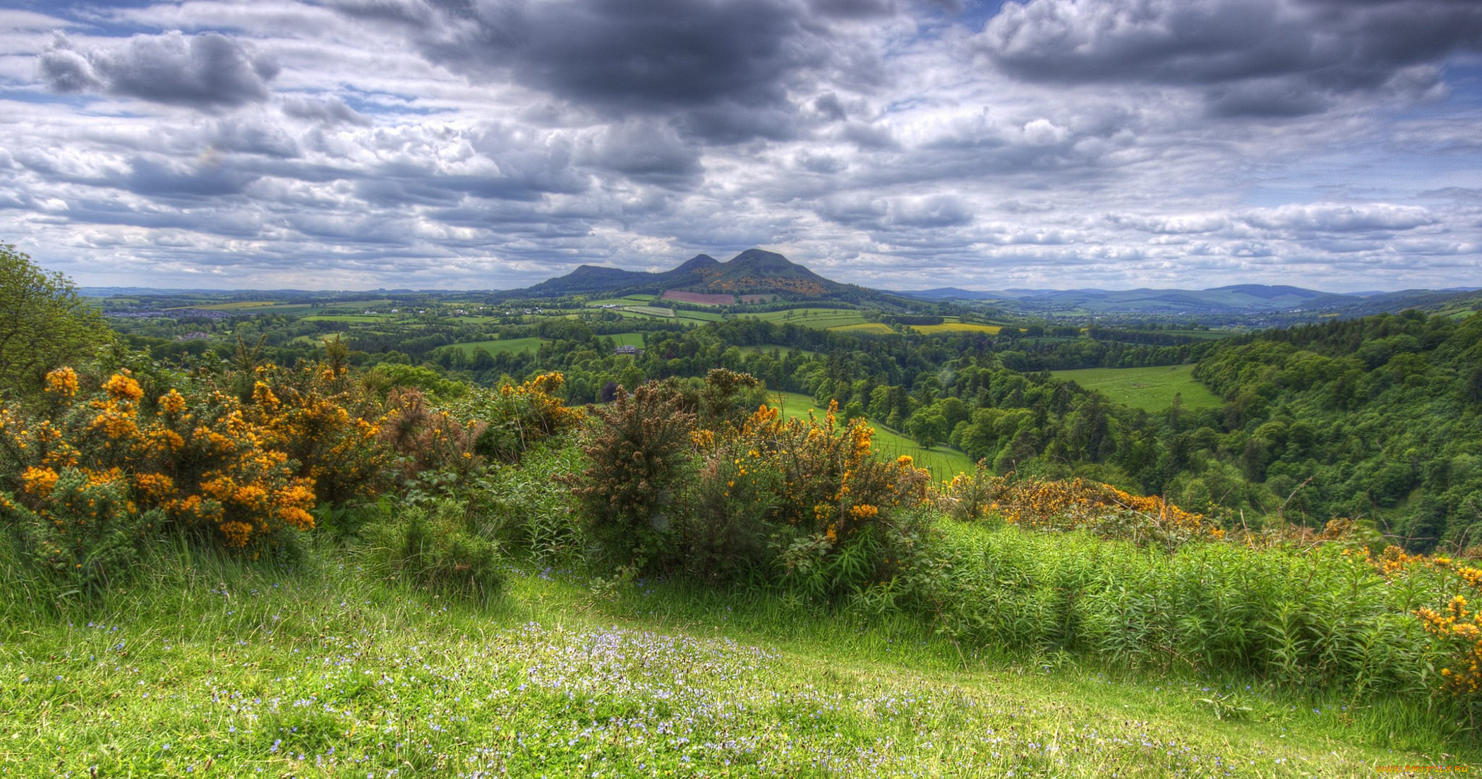 природа, пейзажи, простор, равнина