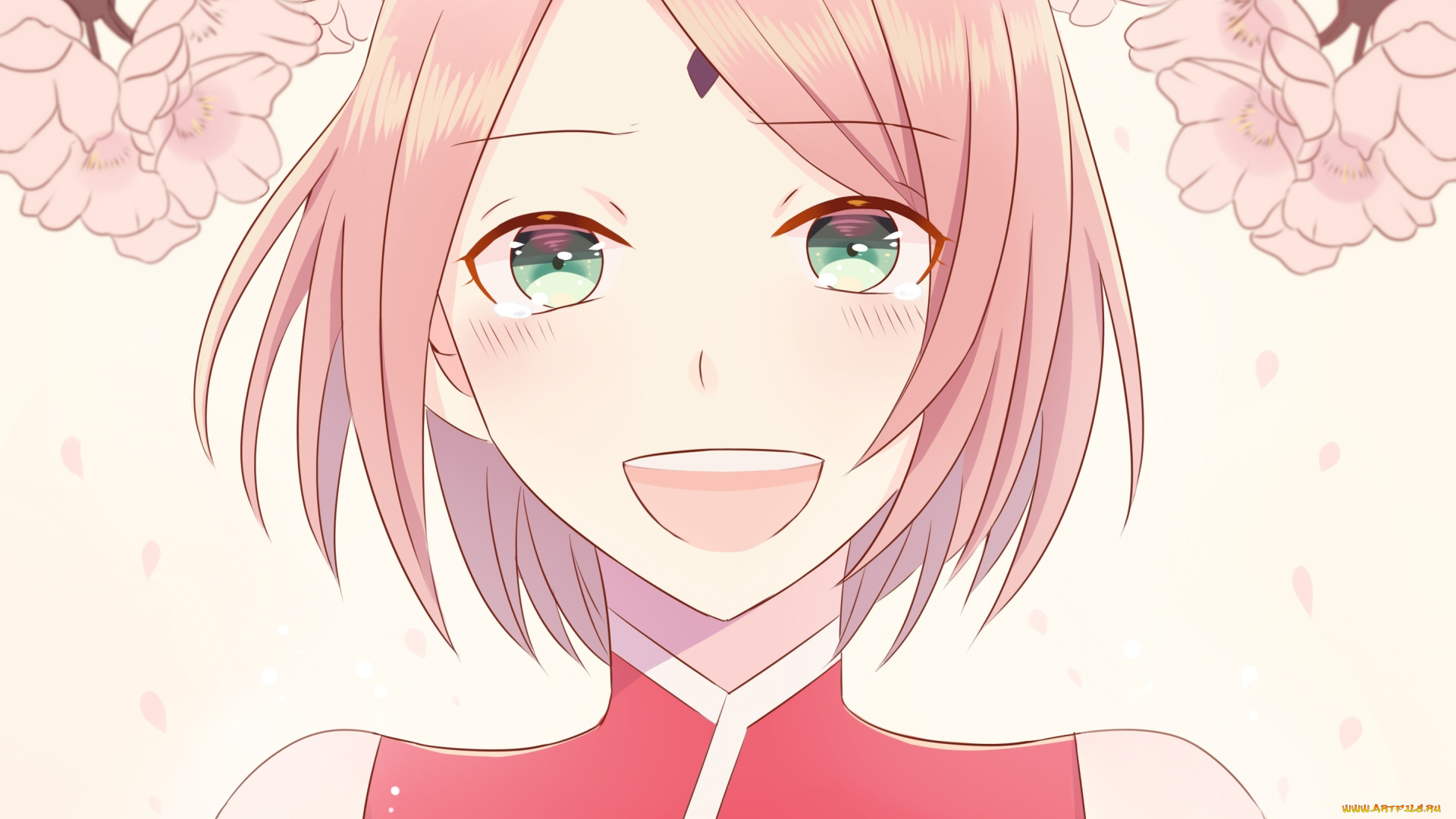 аниме, naruto, haruno, sakura