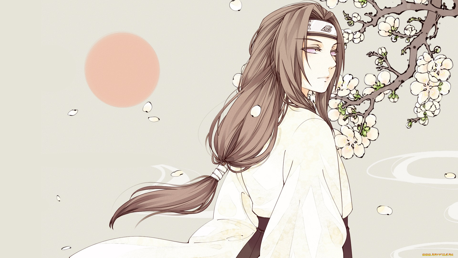 аниме, naruto, hyuuga, neji