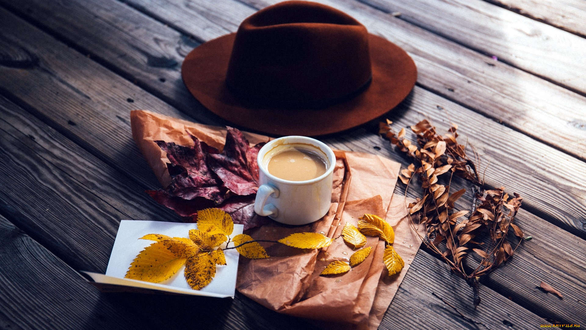 еда, кофе, , кофейные, зёрна, листья, шляпа, чашка, напиток