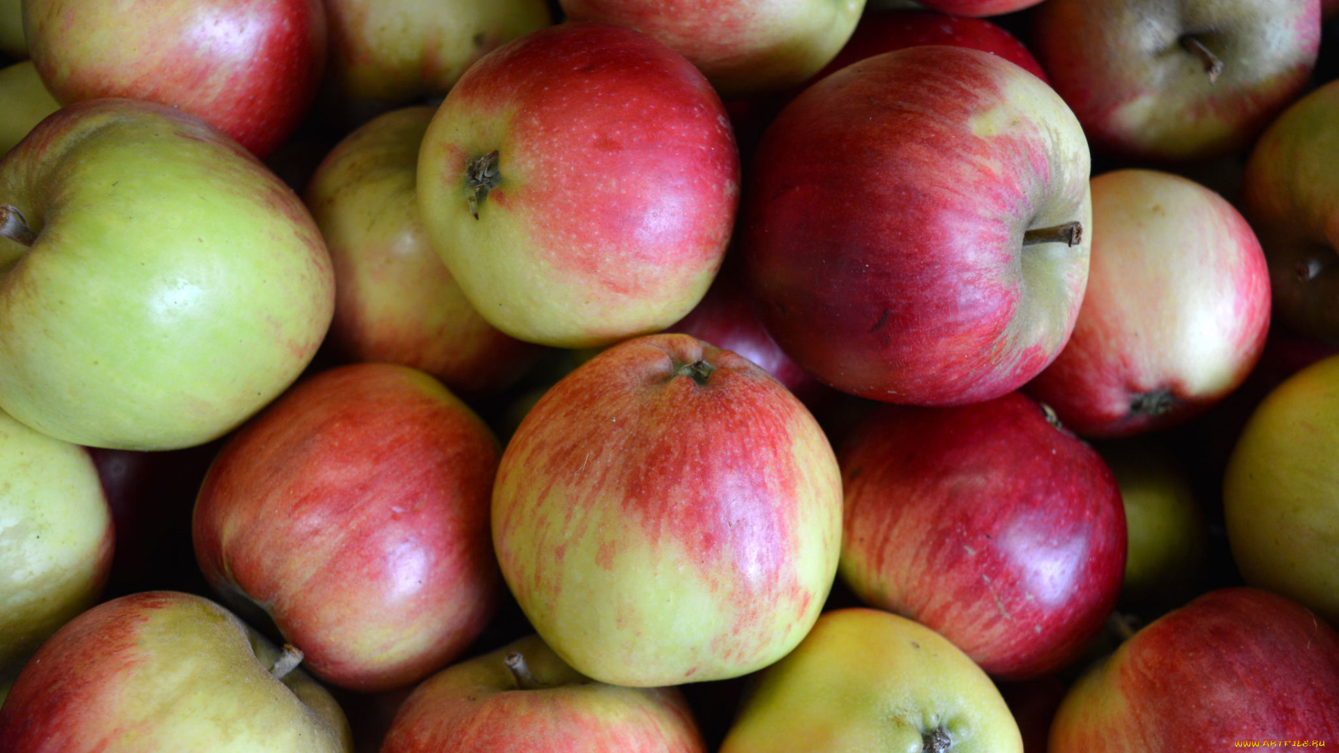 еда, Яблоки, плоы