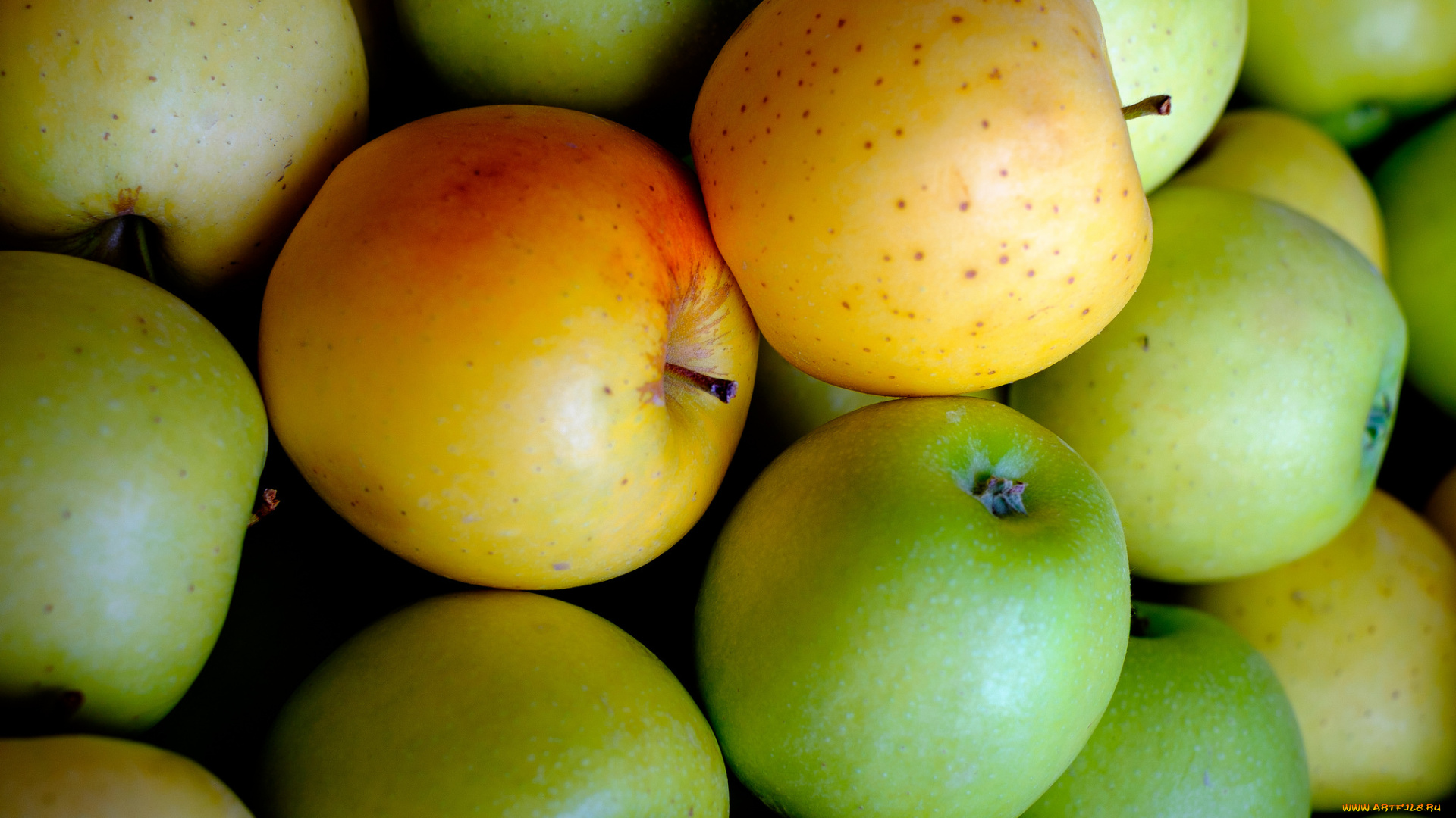 еда, Яблоки, плоы