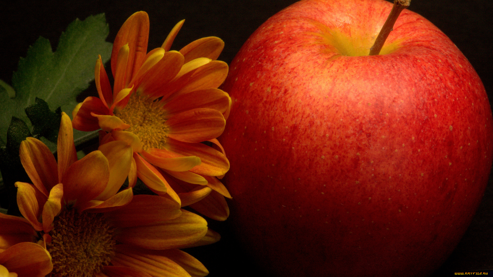 еда, Яблоки, плоы