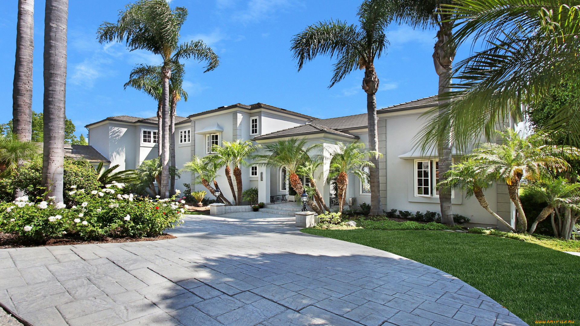 города, -, здания, , дома, вилла, пальмы, цветы