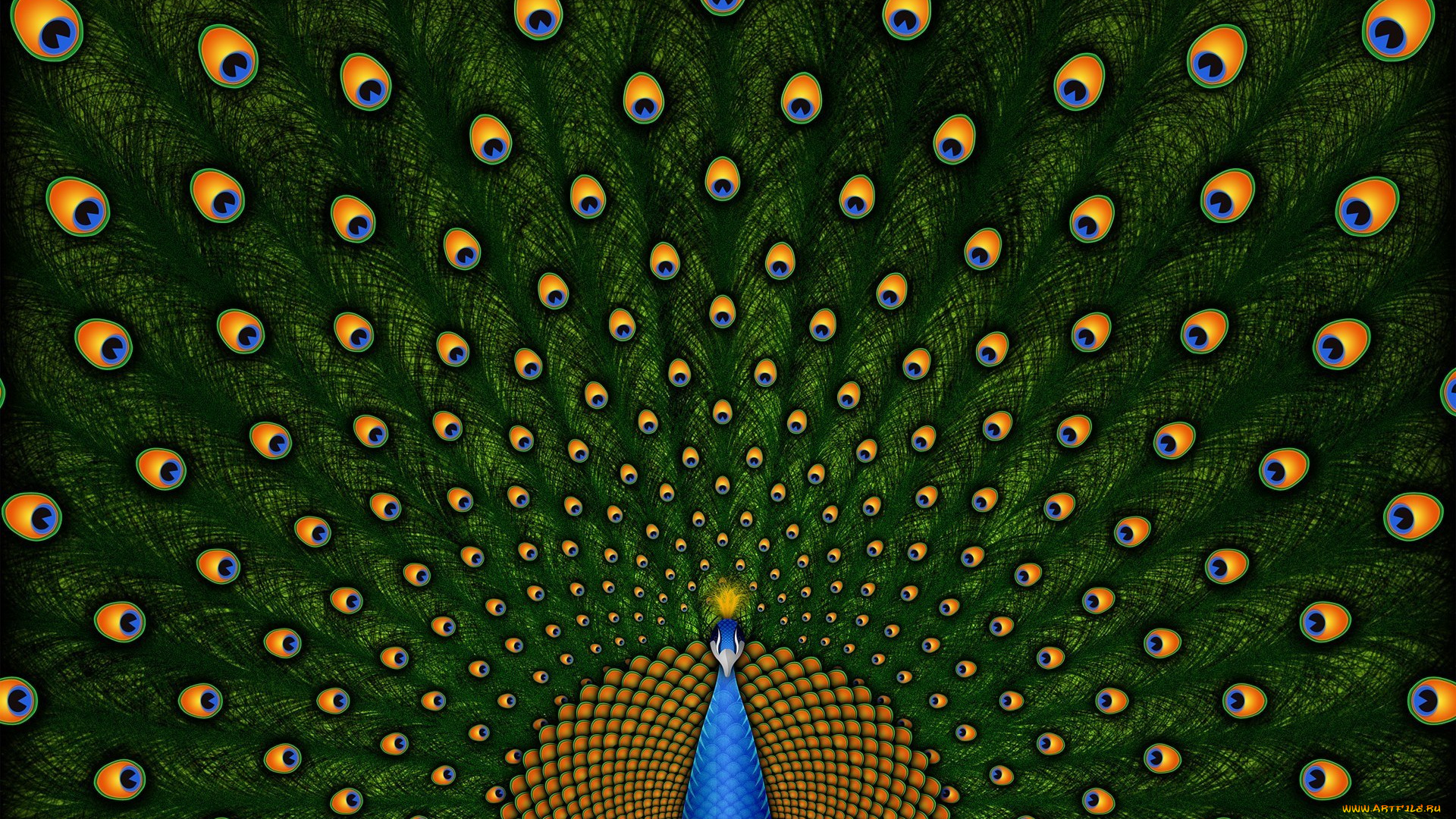 павлин, рисованное, животные, , птицы, , павлины