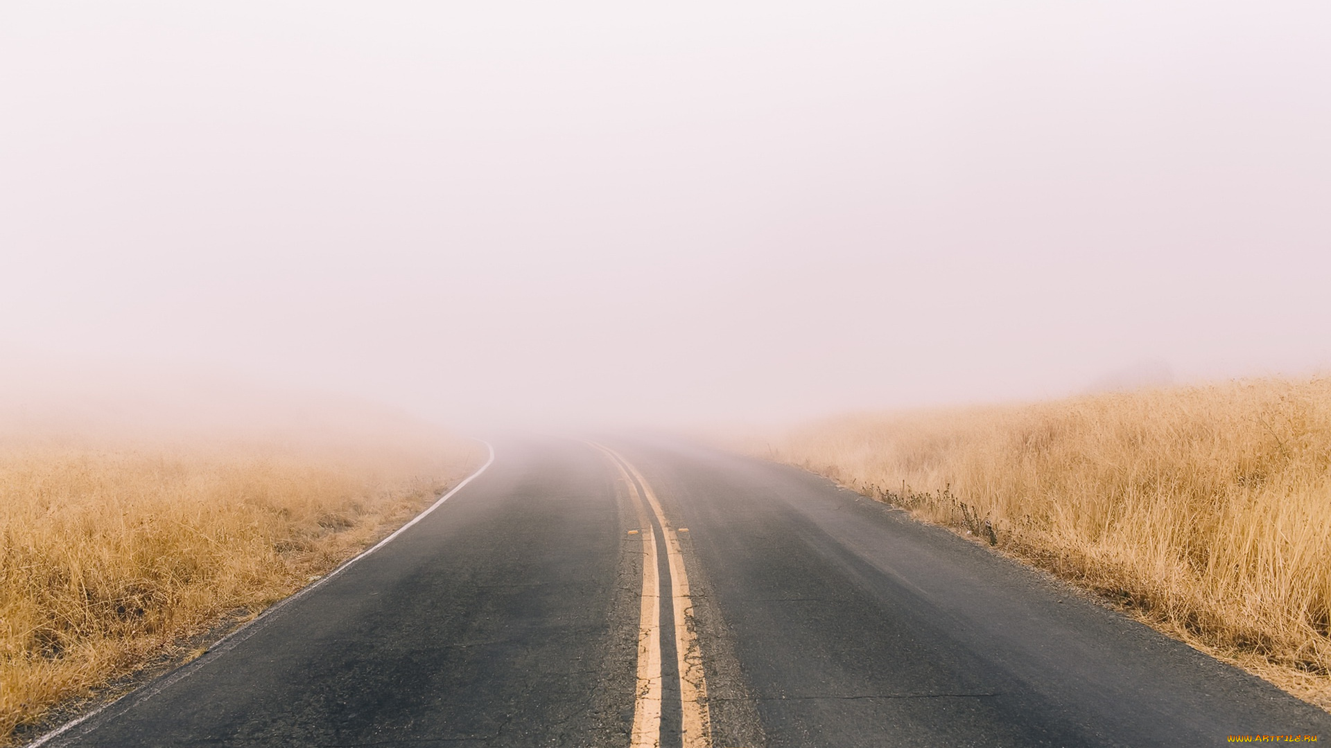 природа, дороги, дорога, туман