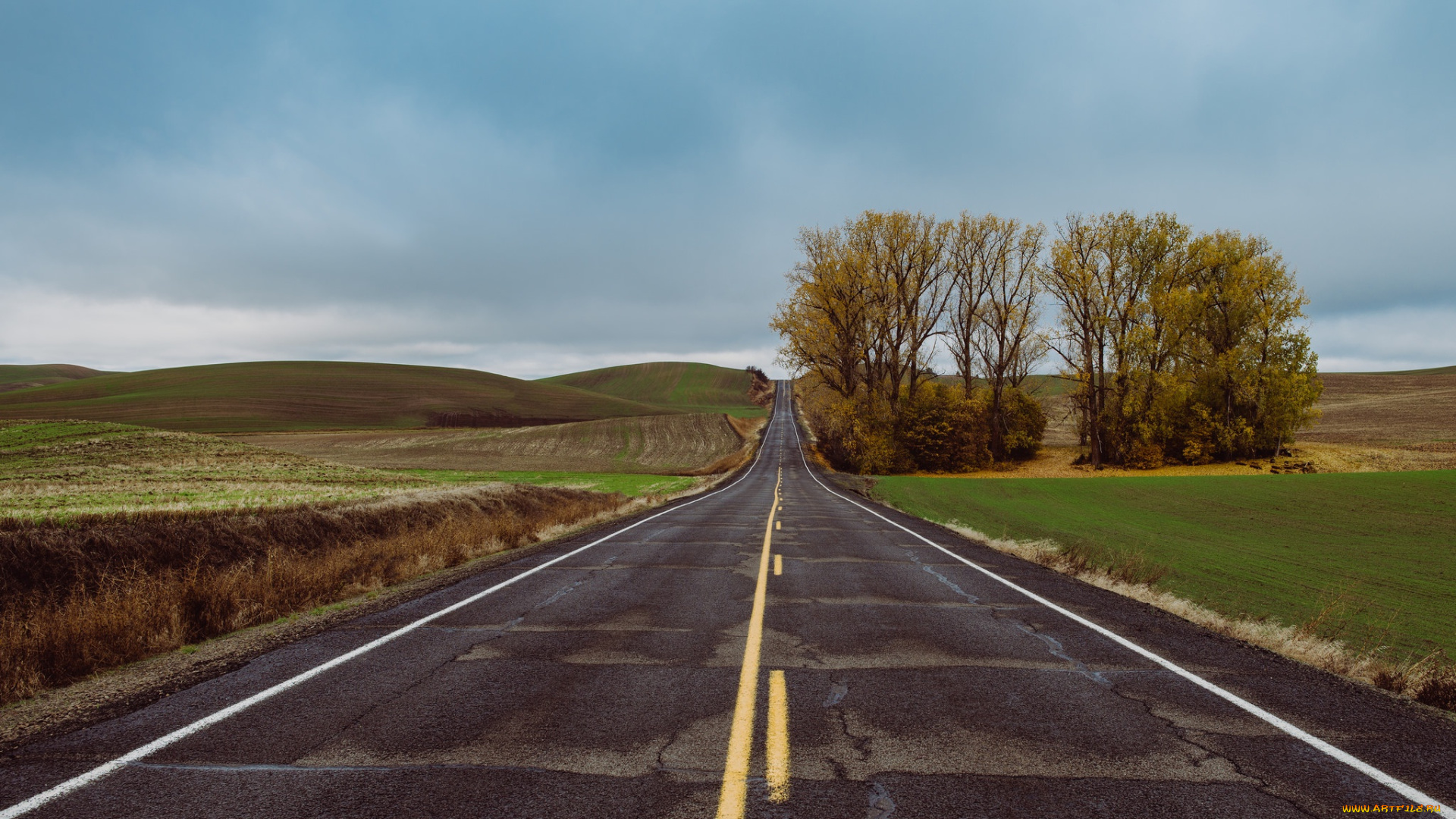 природа, дороги, поля, дорога