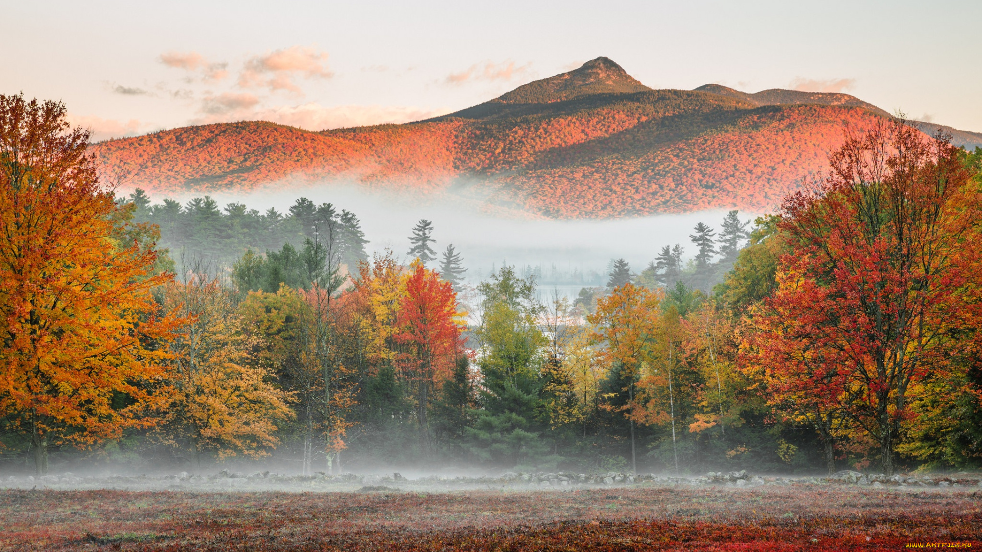 природа, лес, осень