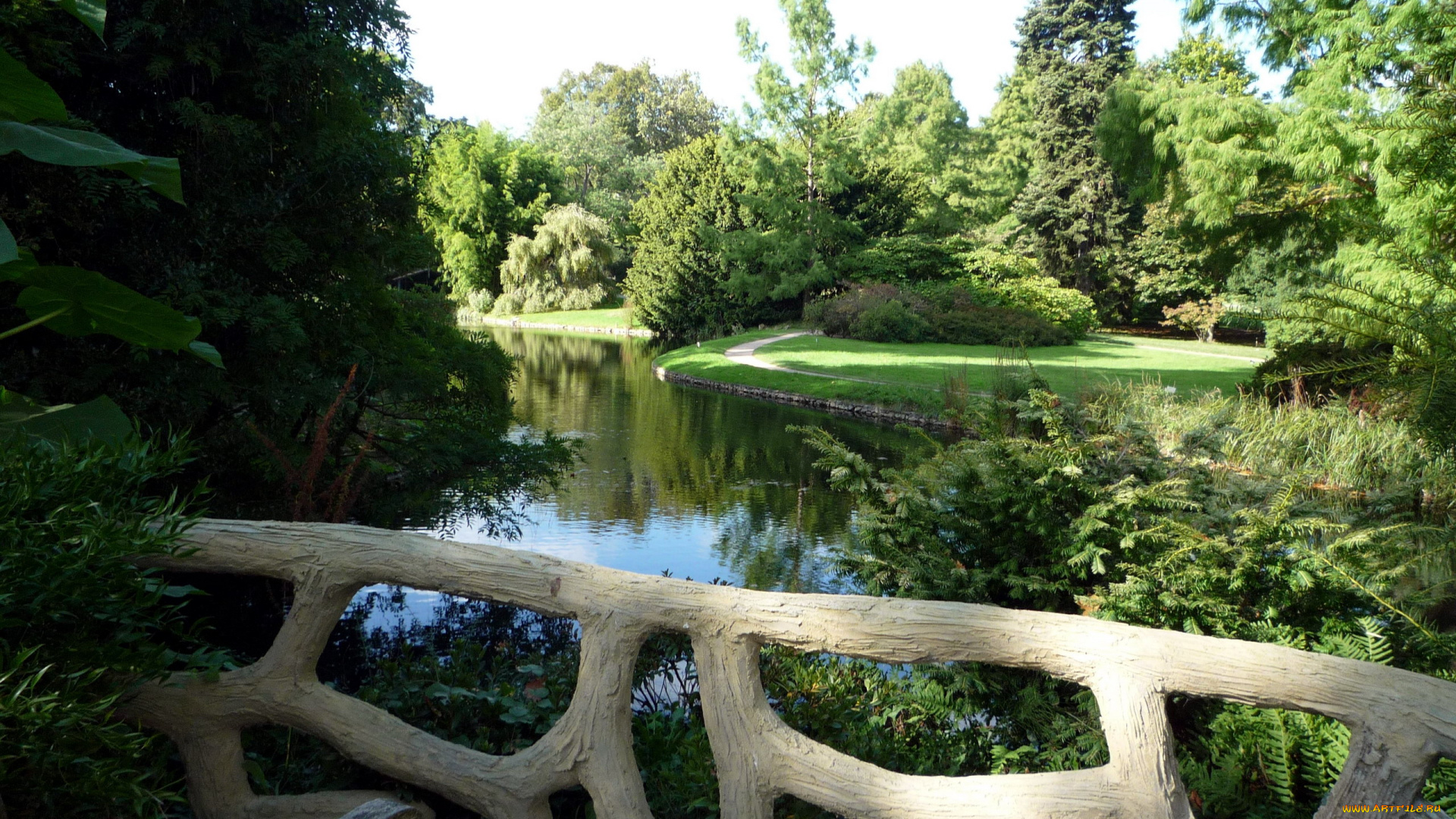 природа, парк, лето, водоем, деревья