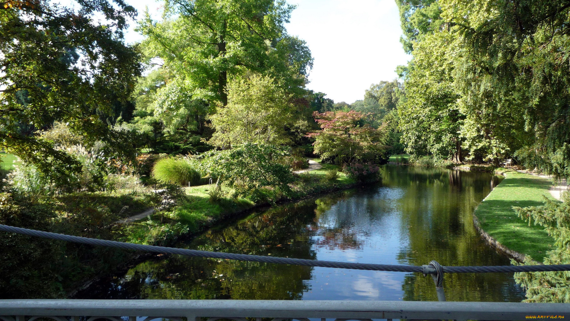 природа, парк, лето, водоем, деревья, мостик