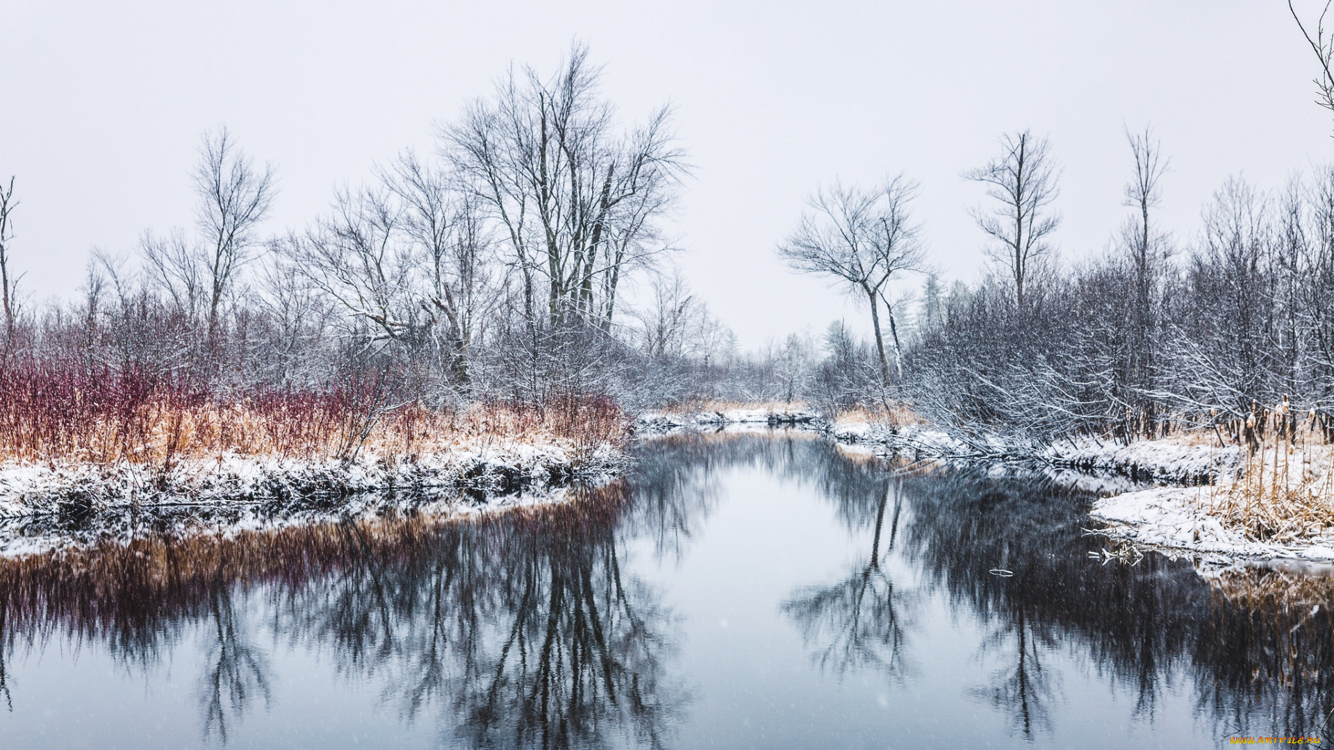 природа, реки, озера, река, деревья