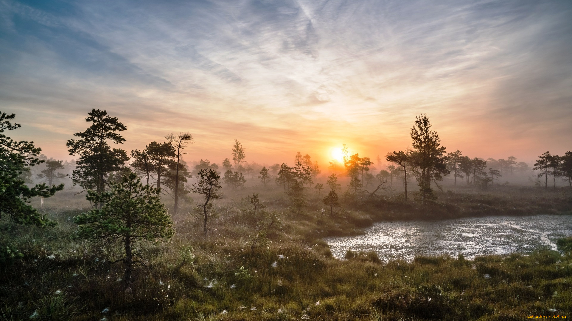 природа, реки, озера, трава, деревья, озеро, туман, рассвет, утро