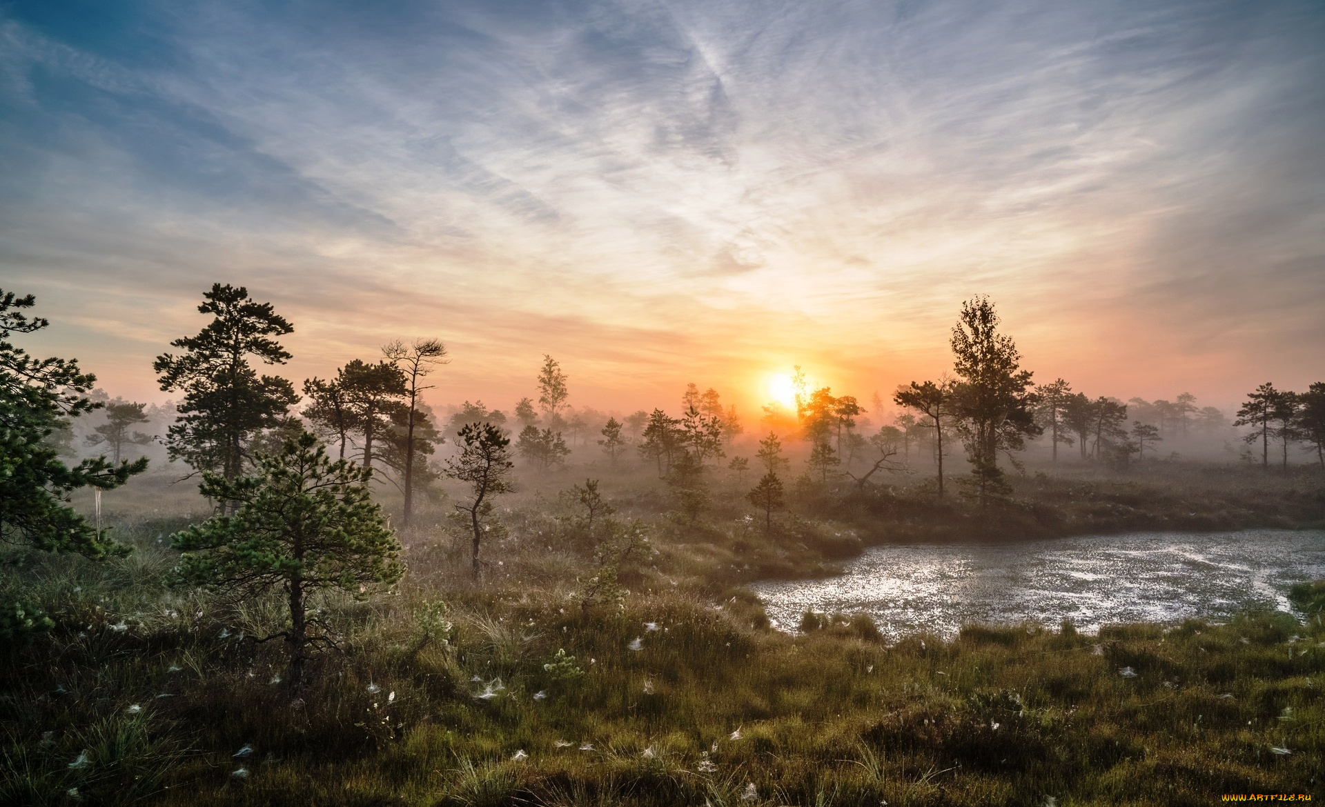 природа, реки, озера, трава, деревья, озеро, туман, рассвет, утро