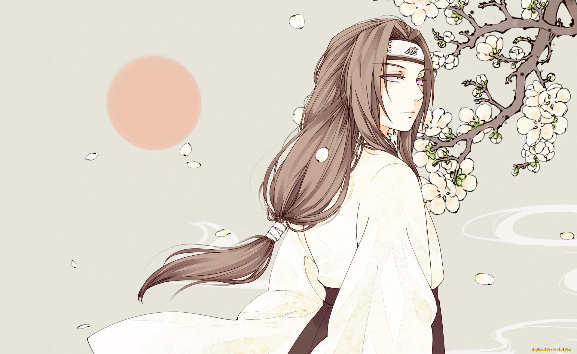 аниме, naruto, hyuuga, neji