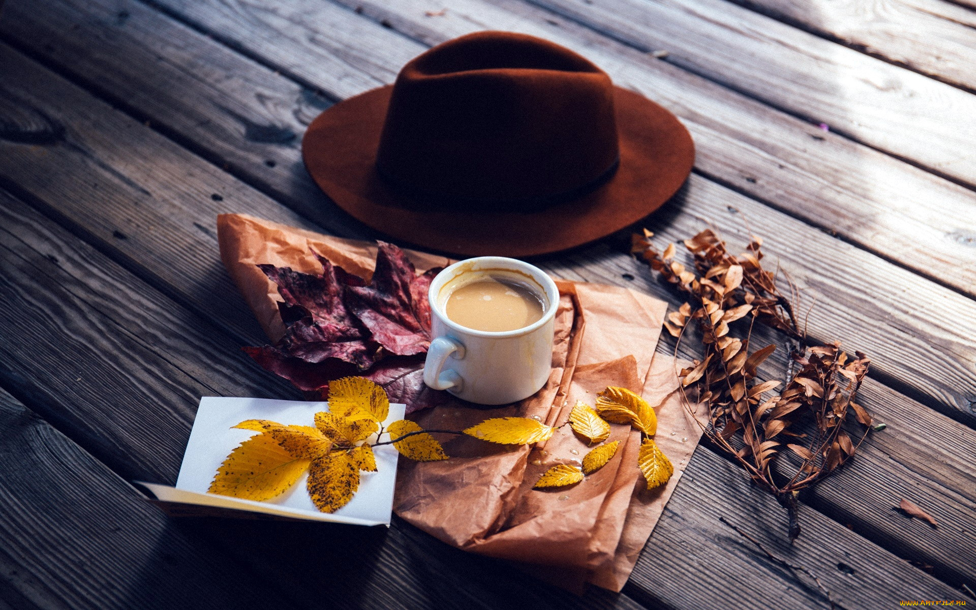 еда, кофе, , кофейные, зёрна, листья, шляпа, чашка, напиток