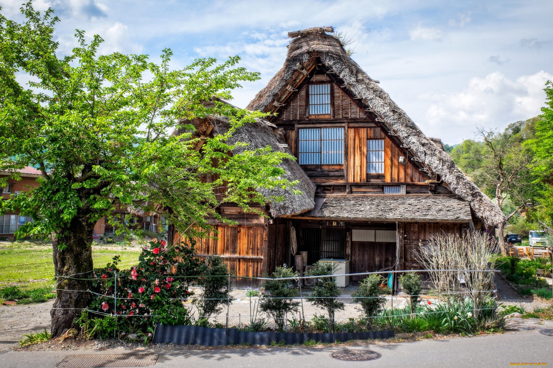 города, -, здания, , дома, цветы, дерево, сказочный, домик