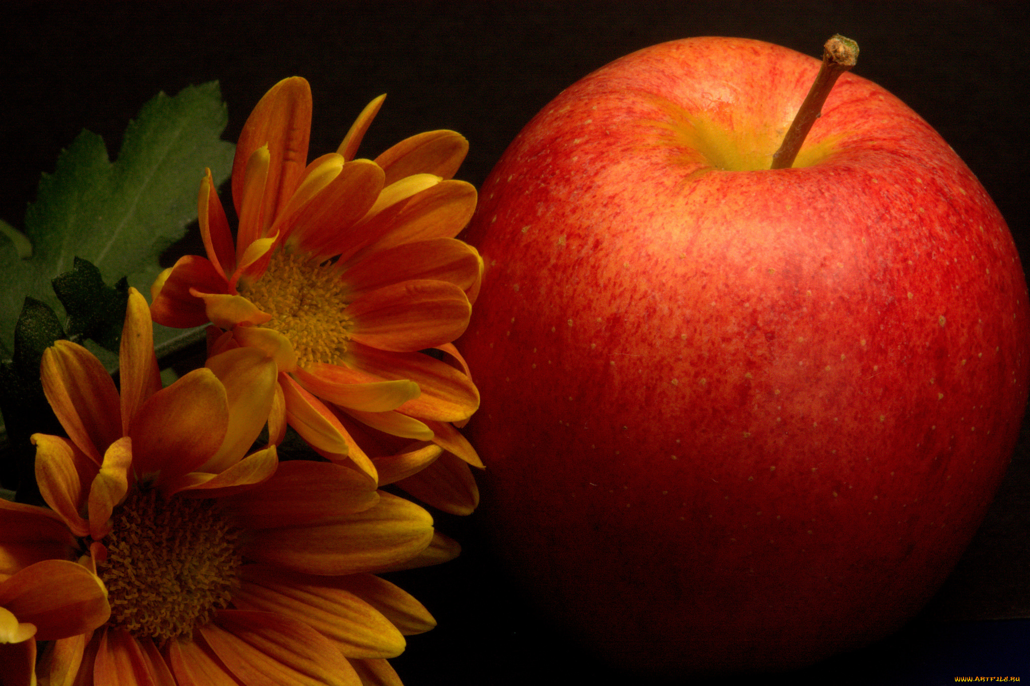 еда, Яблоки, плоы