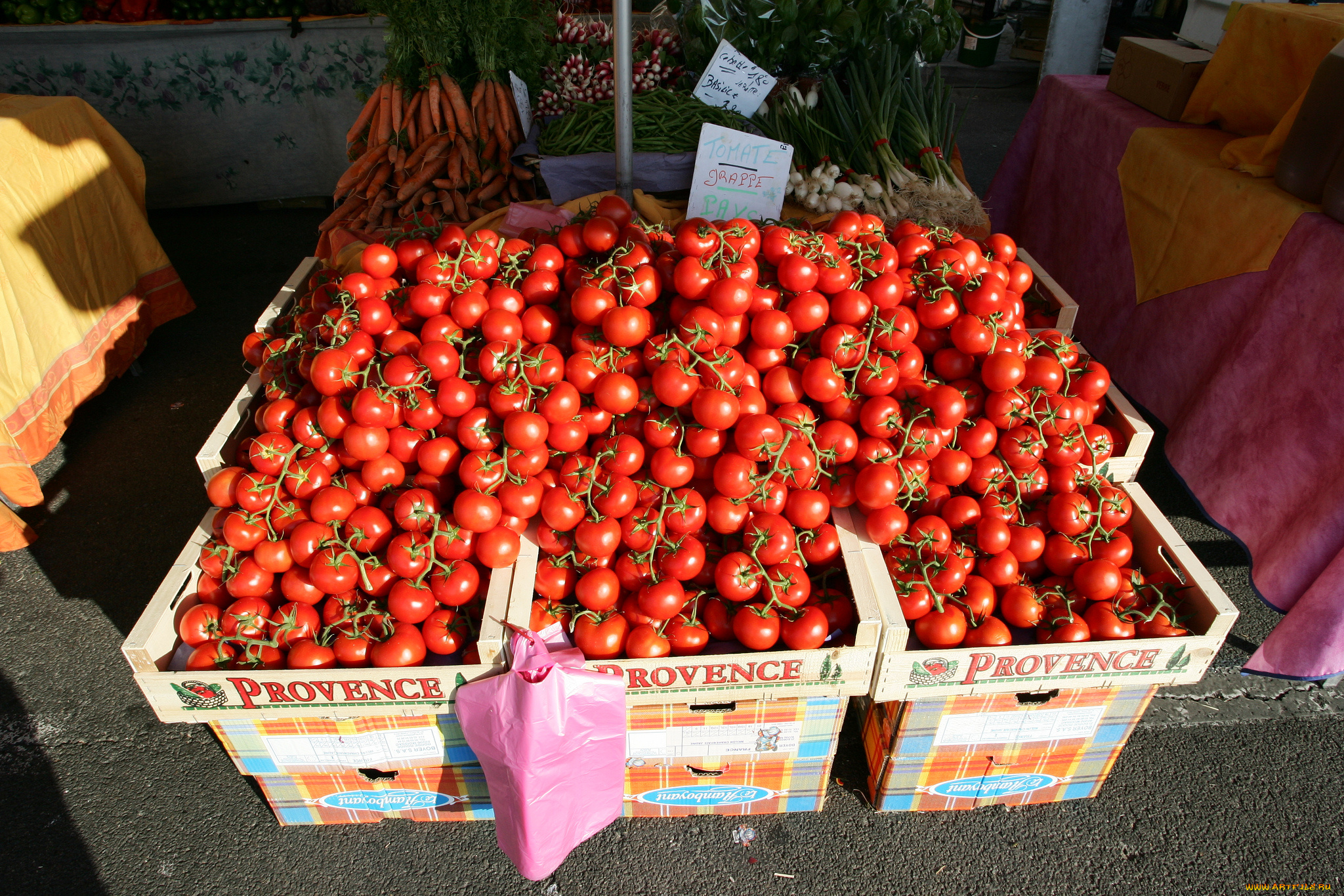 еда, помидоры, томаты