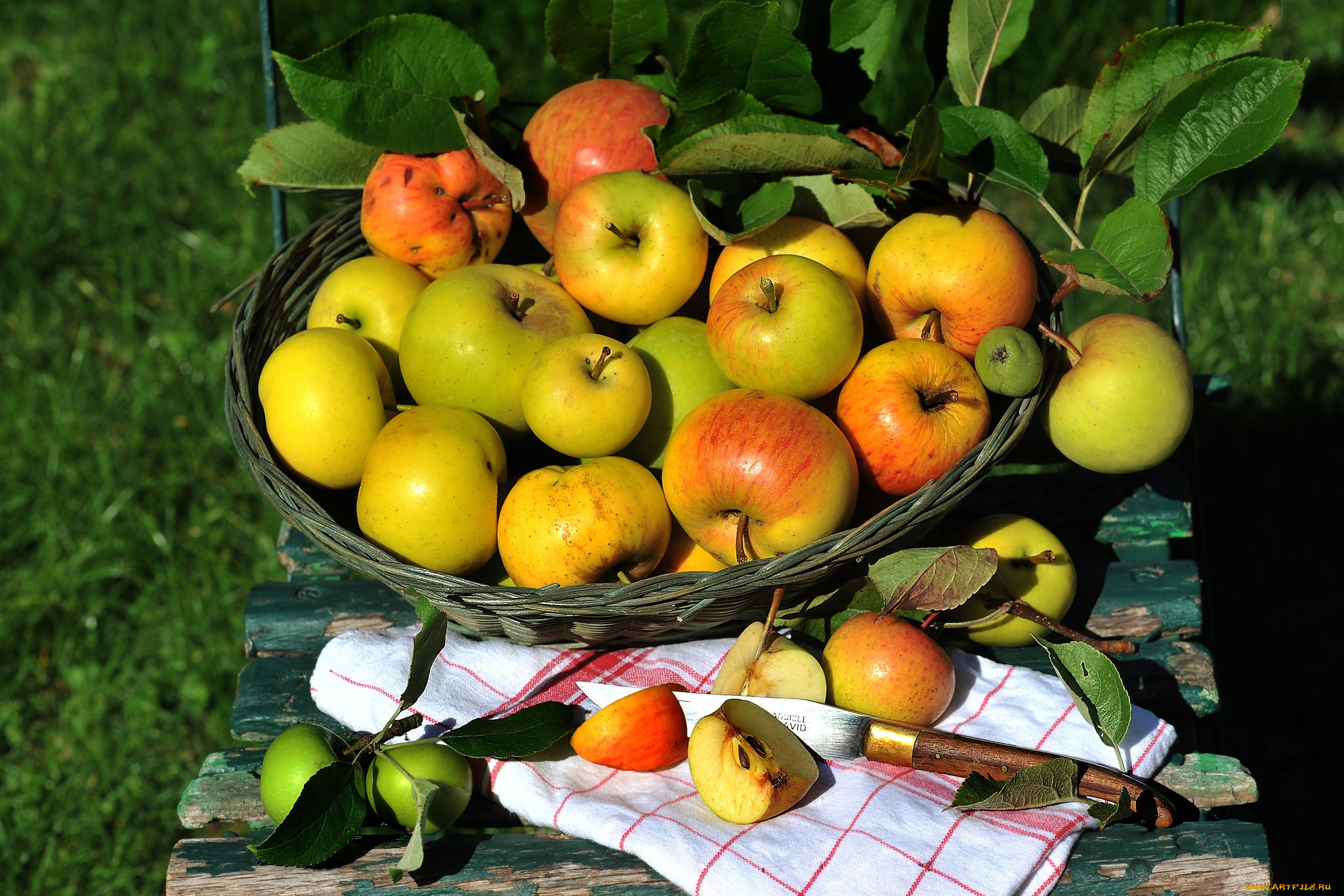 еда, Яблоки, плоы