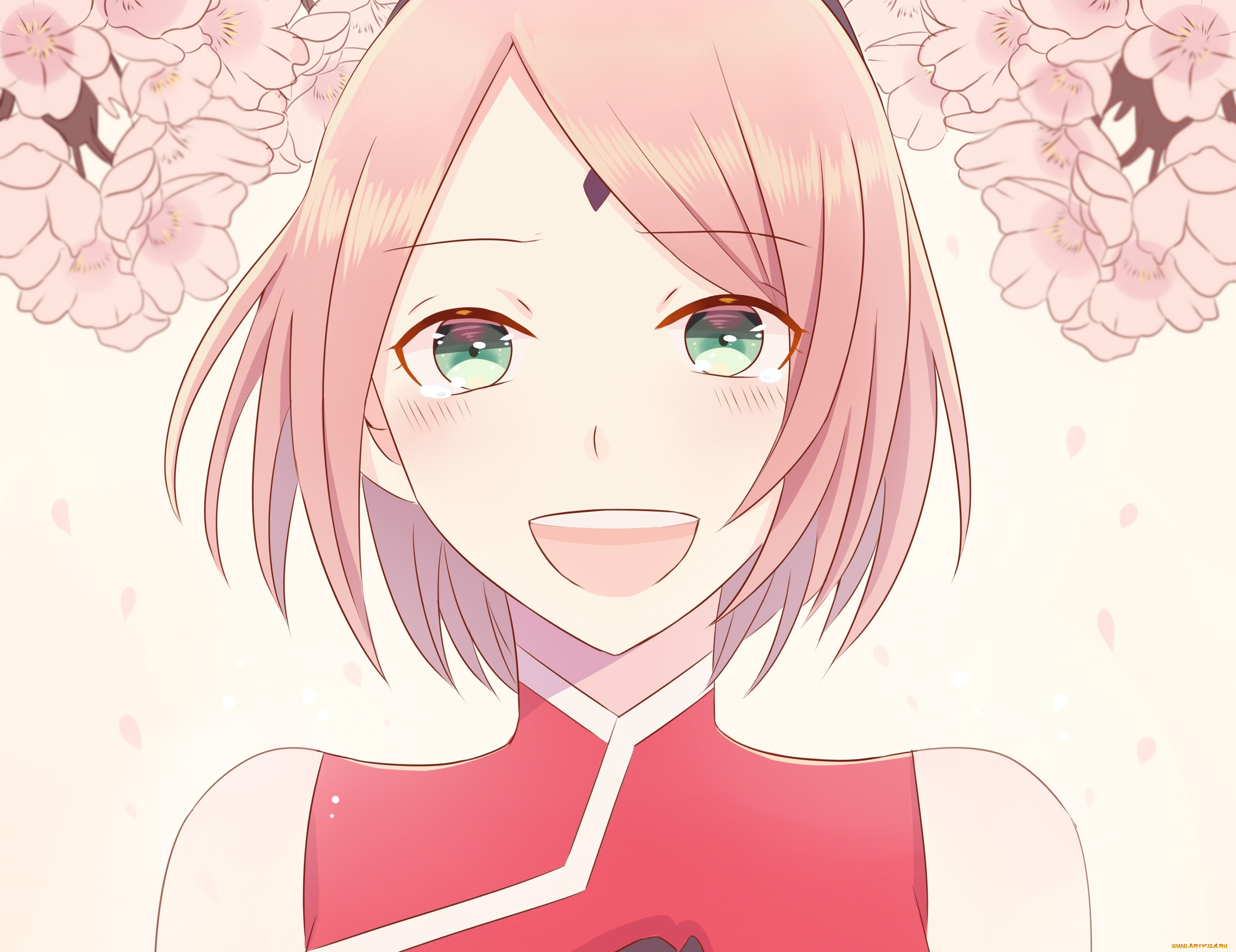 аниме, naruto, haruno, sakura