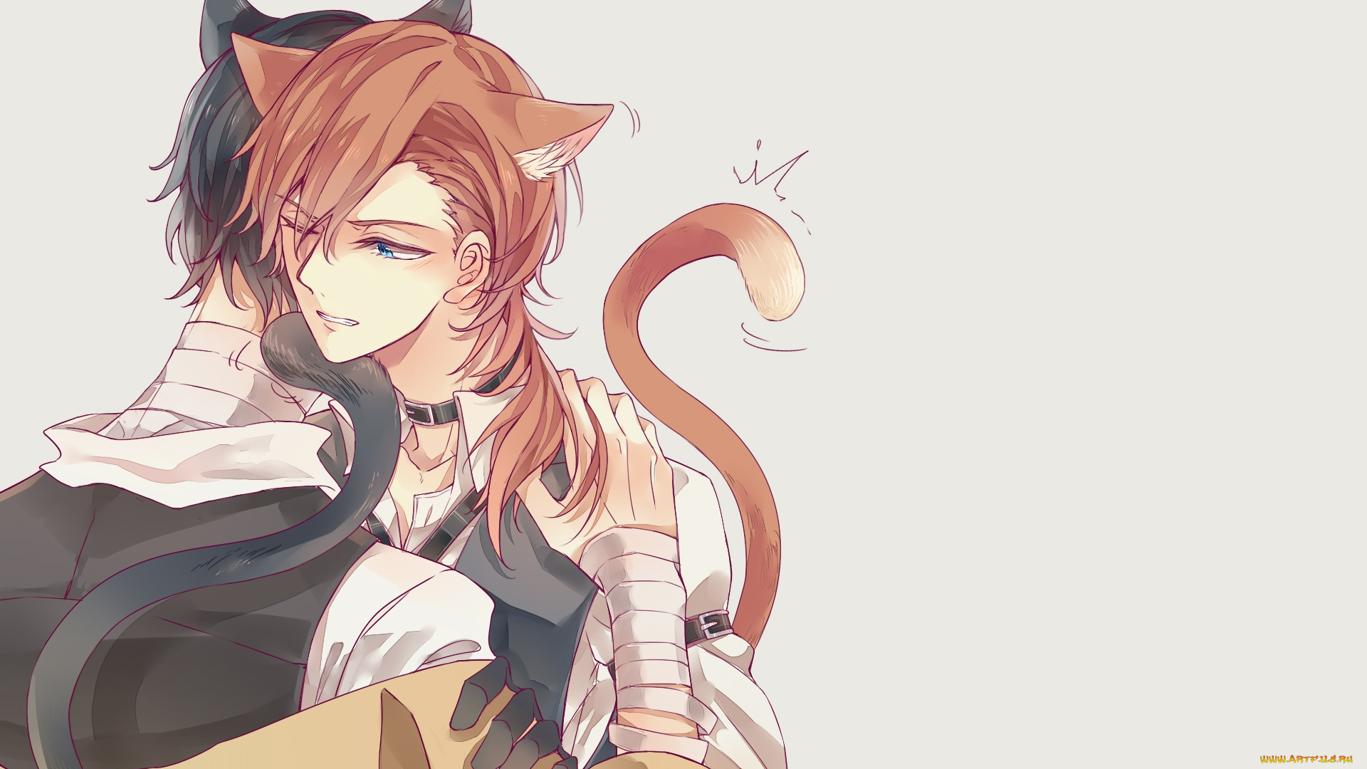 аниме, bungou, stray, dogs, бродячие, псы, литературные, гении