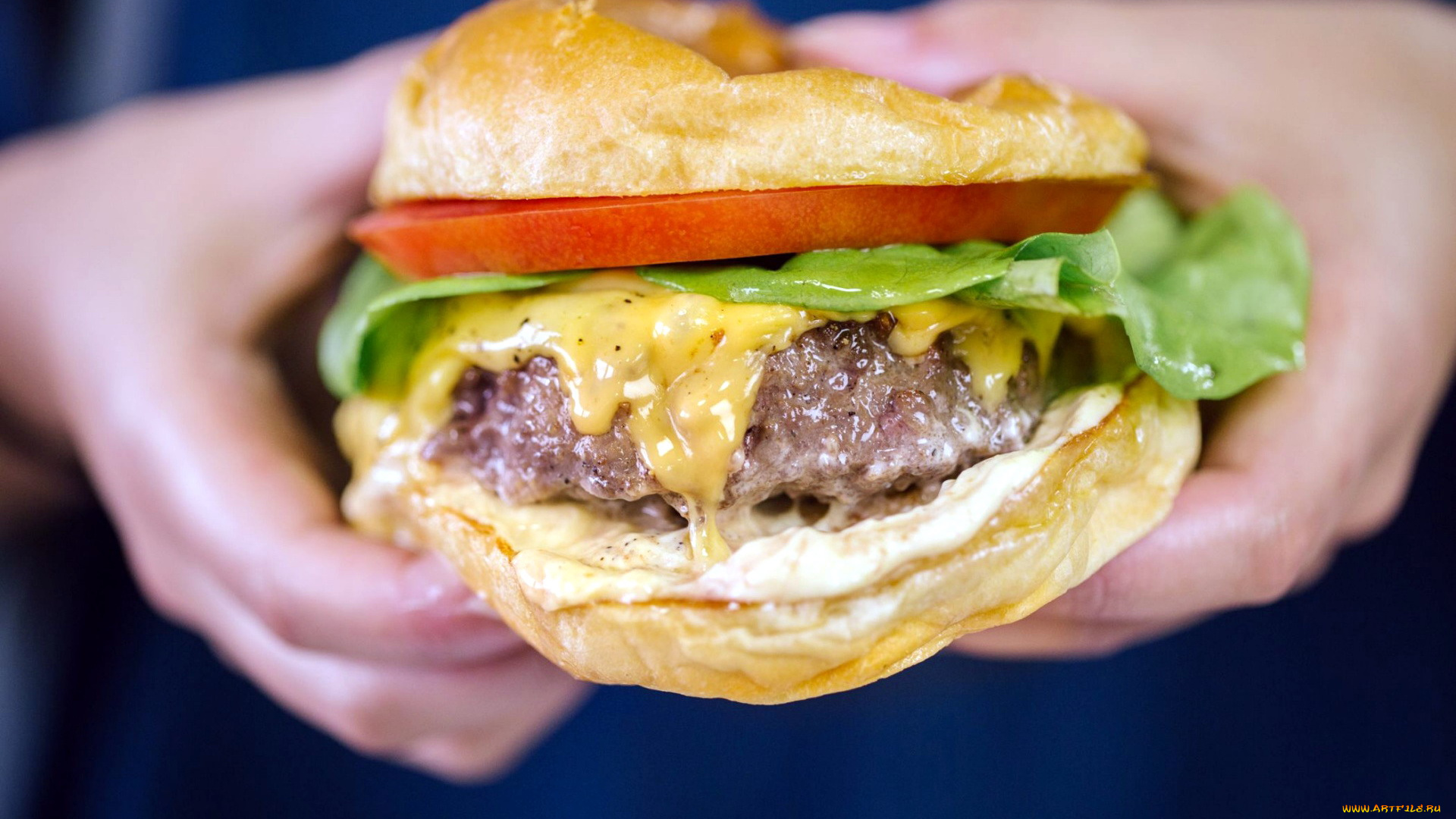 еда, бутерброды, , гамбургеры, , канапе, гамбургер