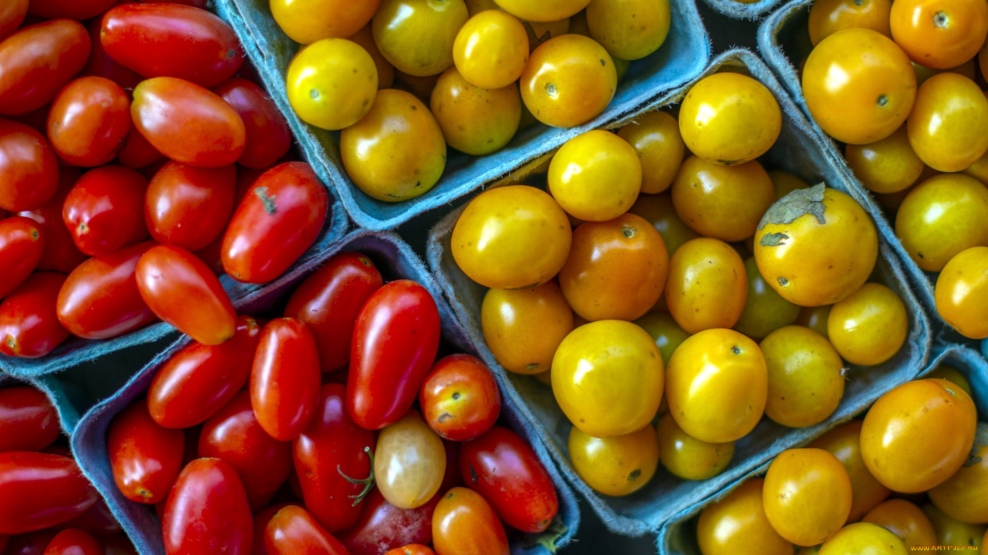 еда, помидоры, томаты, ассорти