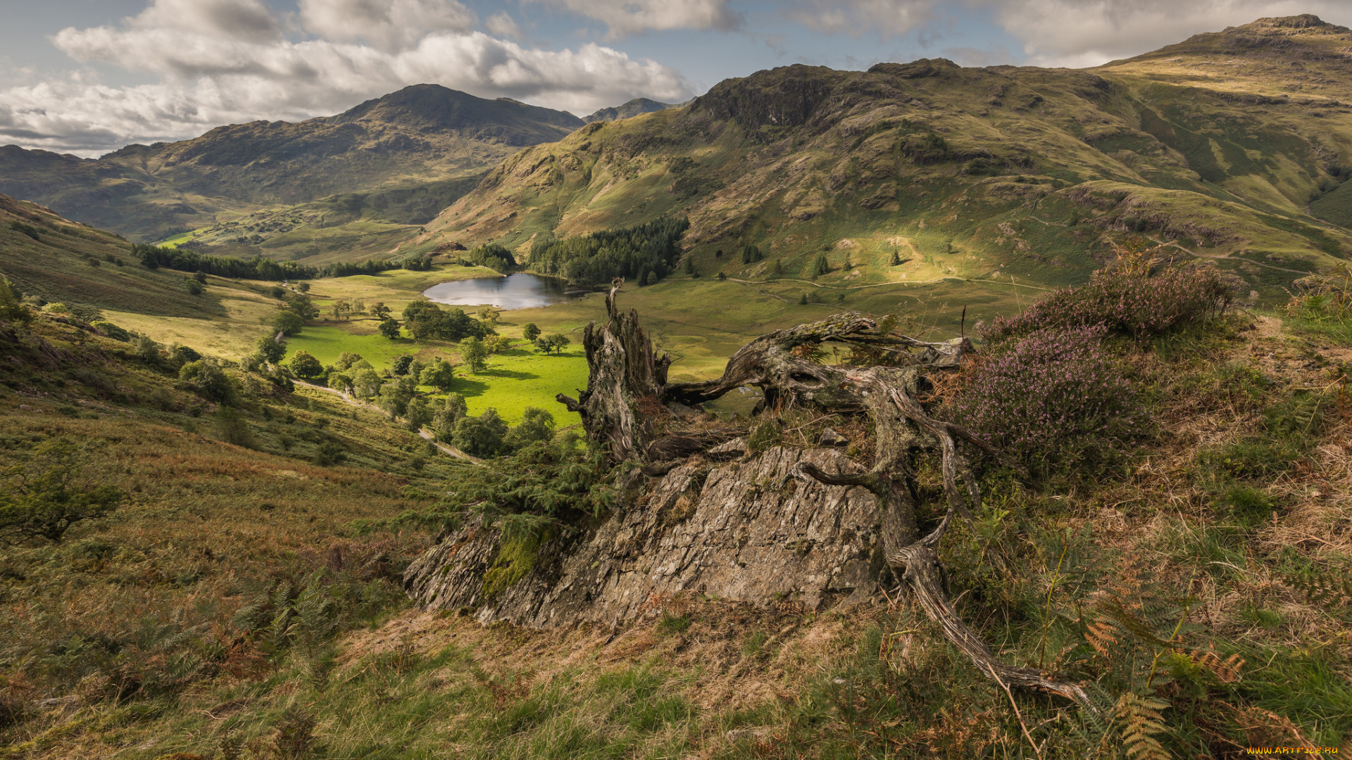 природа, горы, простор