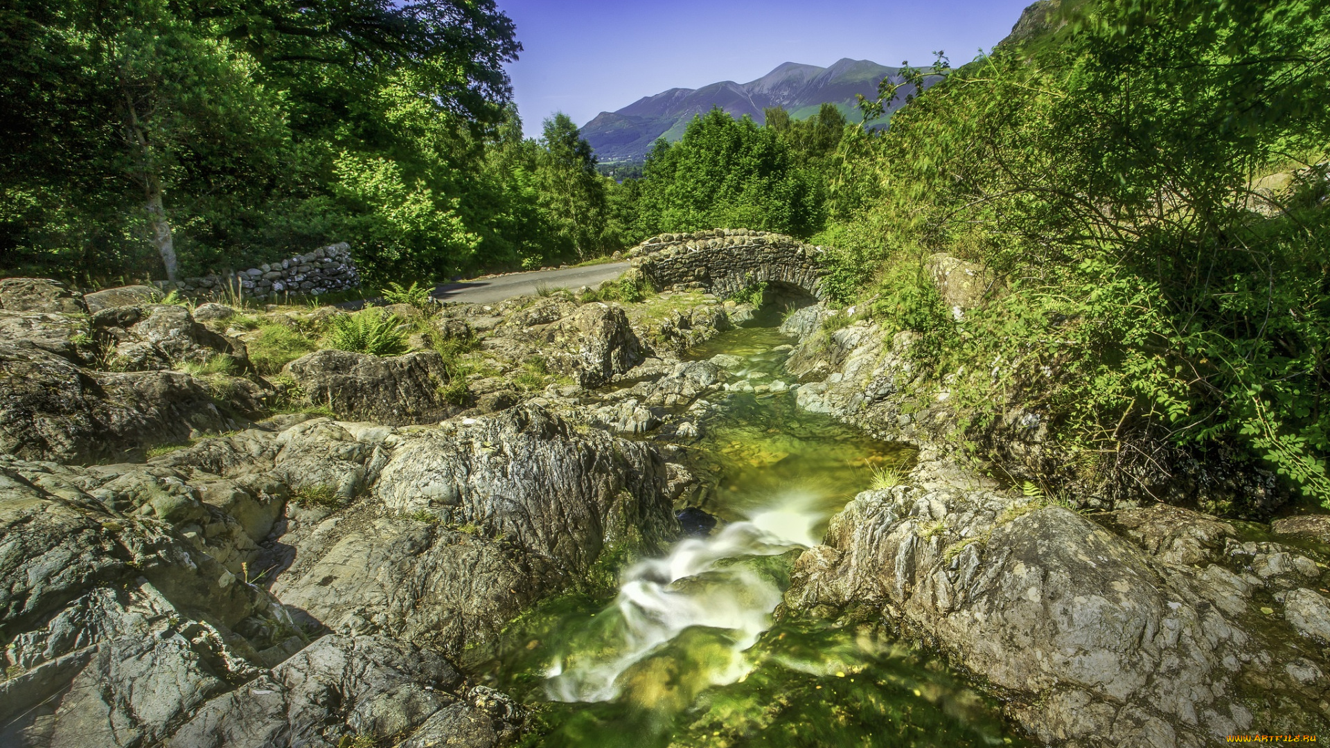 природа, реки, озера, простор