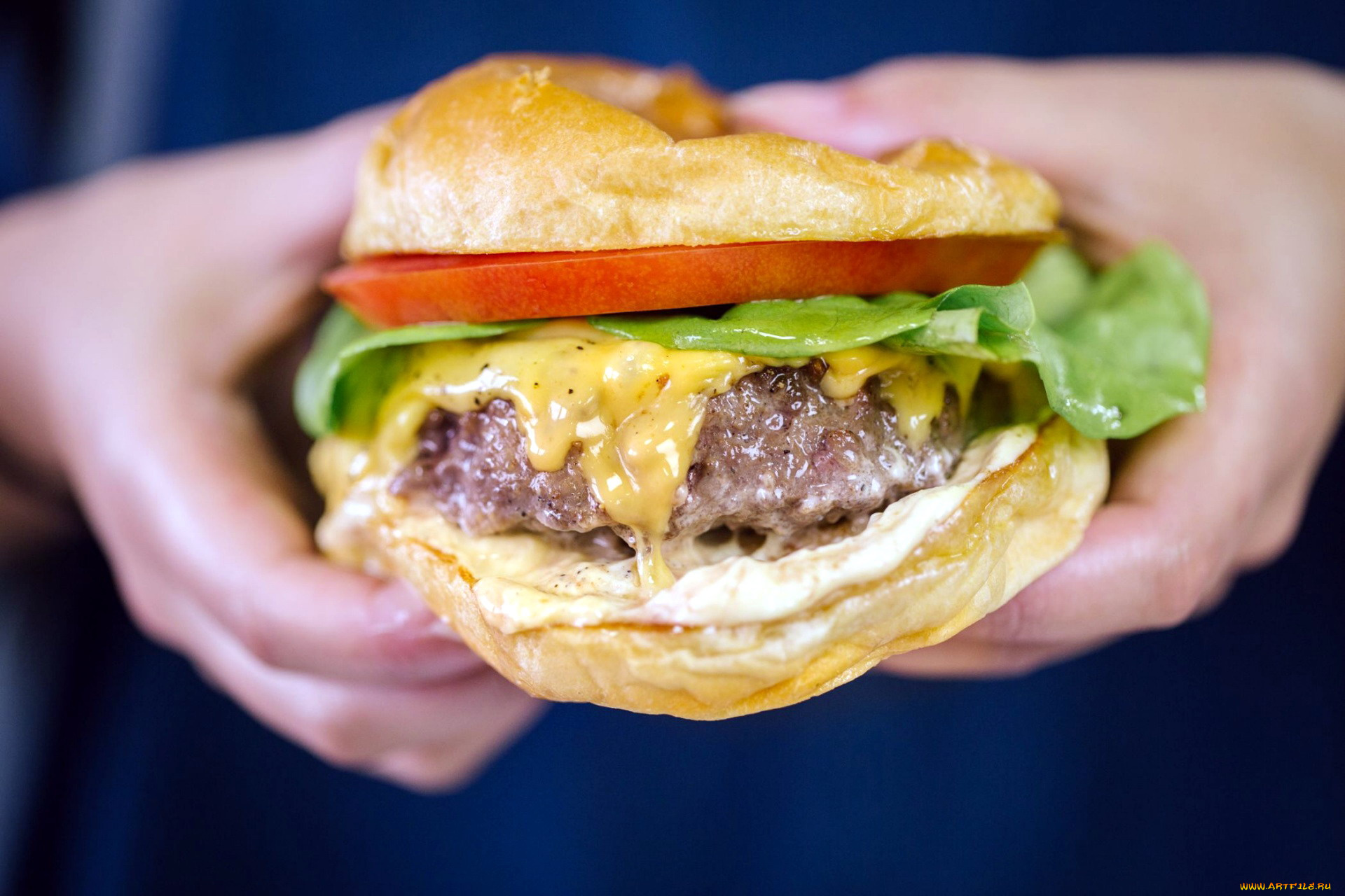 еда, бутерброды, , гамбургеры, , канапе, гамбургер