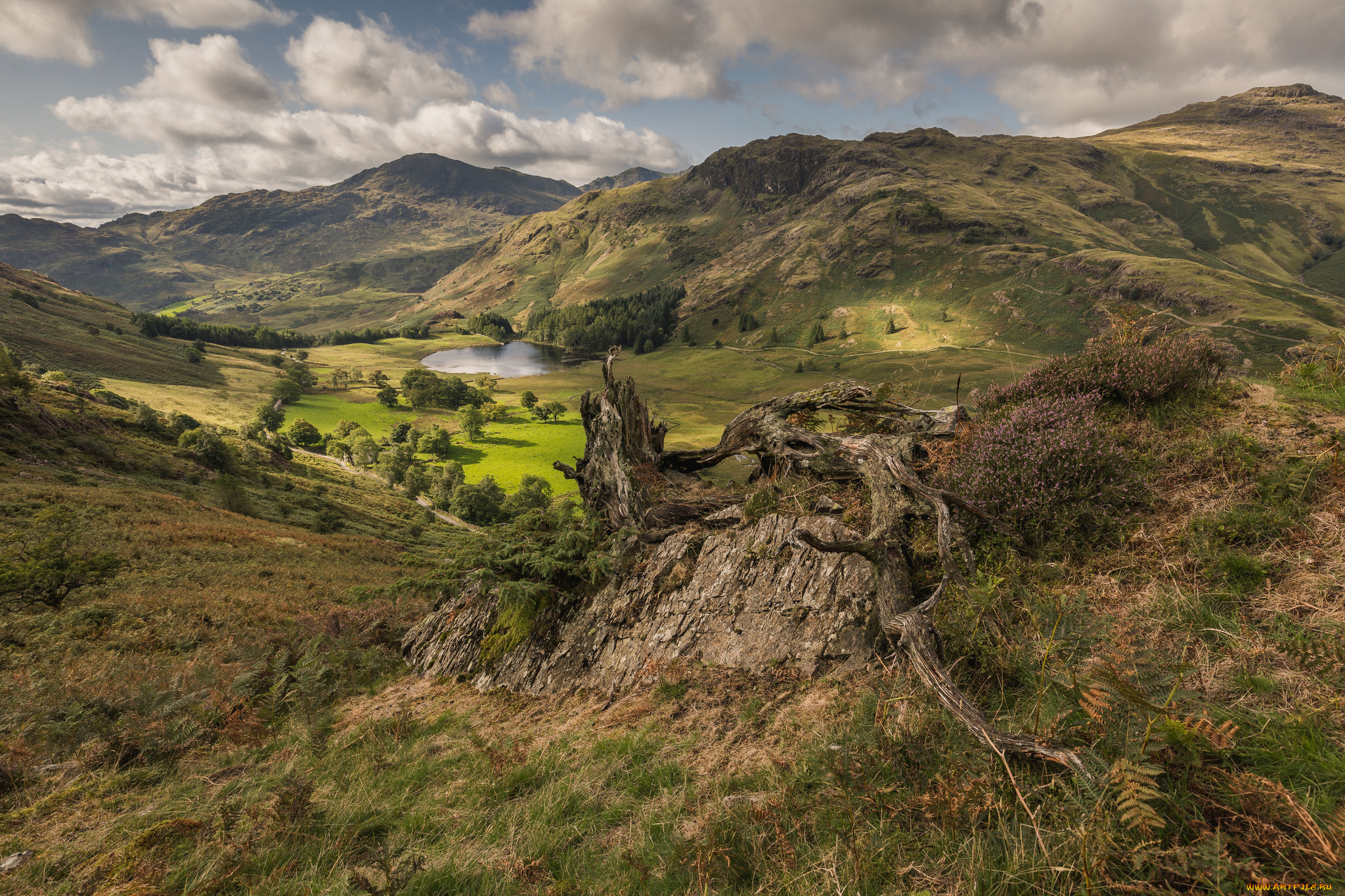 природа, горы, простор