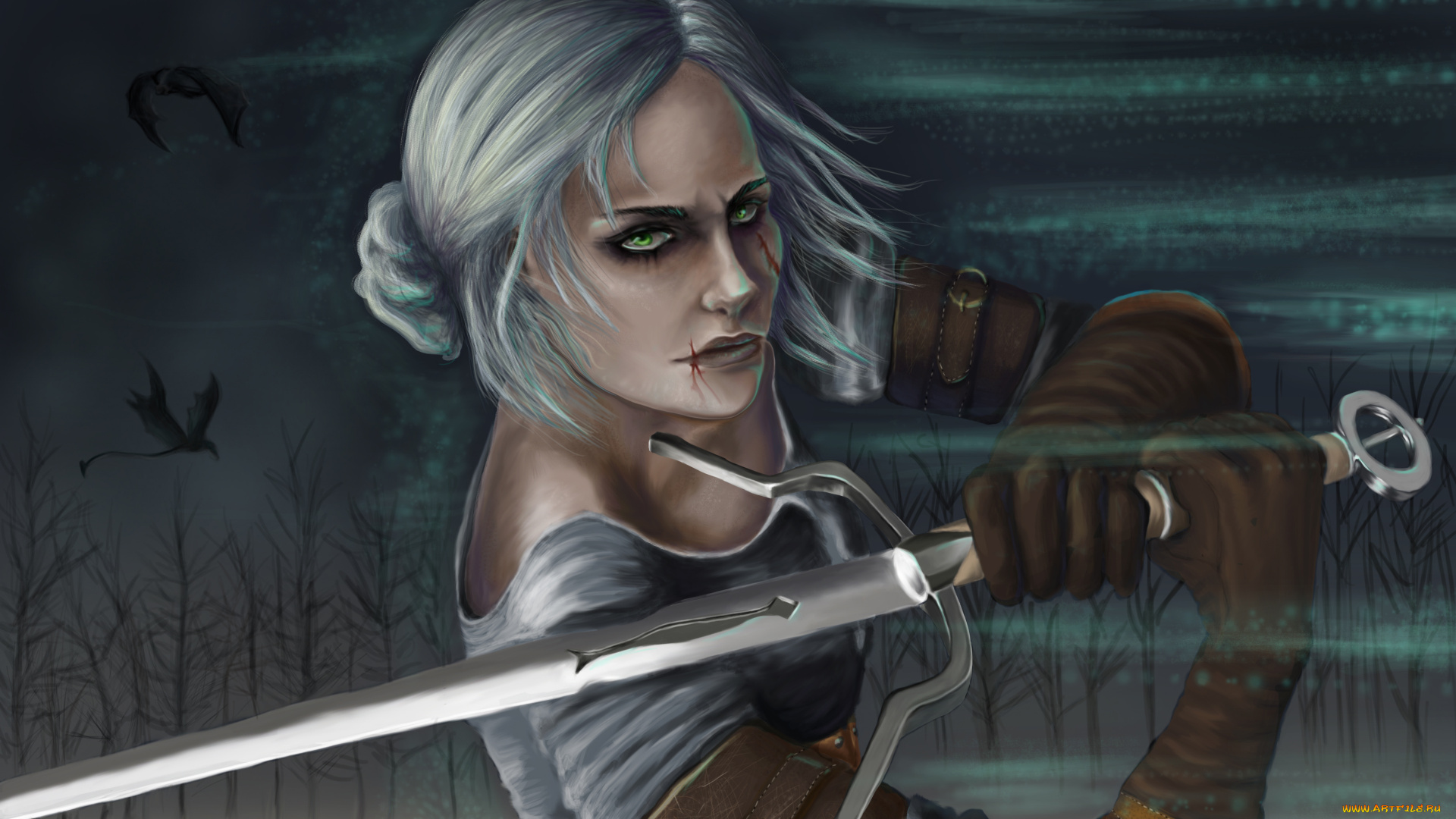 видео, игры, the, witcher, 3, , wild, hunt, фон, девушка, шрам, взгляд, меч