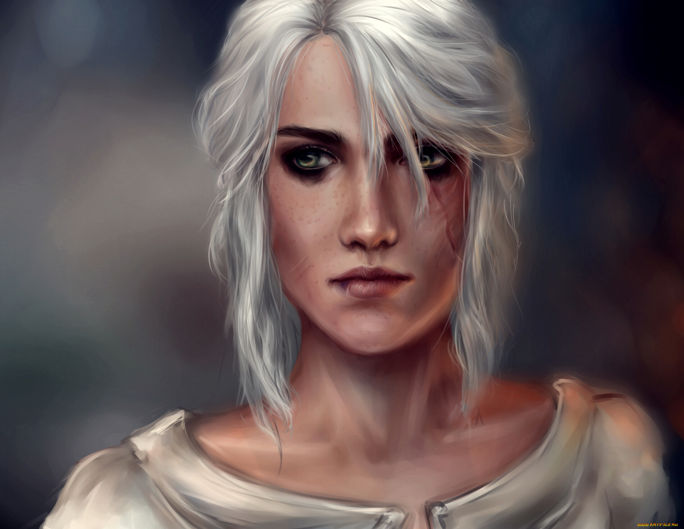 видео, игры, the, witcher, 3, , wild, hunt, шрам, взгляд, девушка, фон